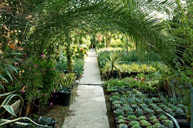  inside nursery 