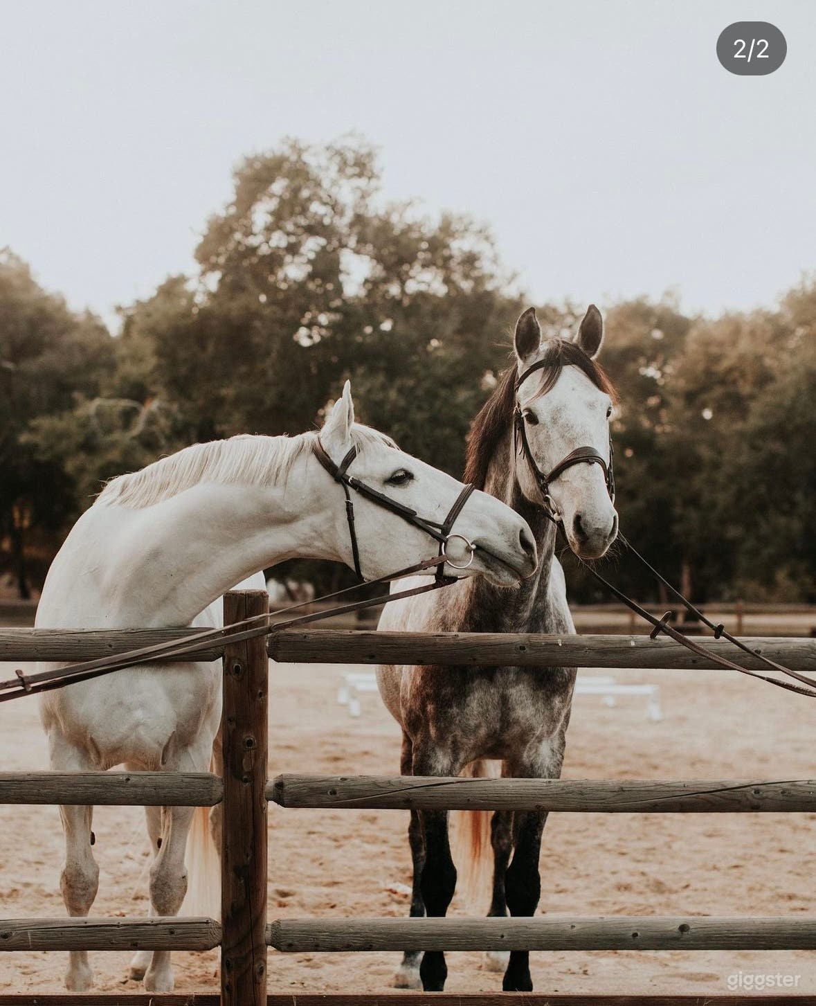 Central Coast Horse Ranch Photo 1