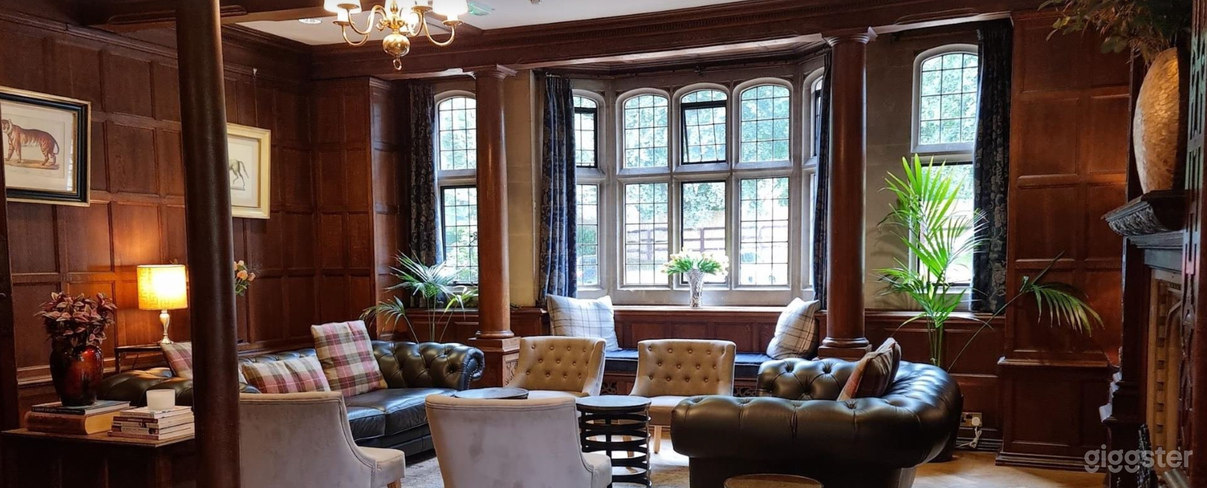 Relaxed Open Library Photo 3