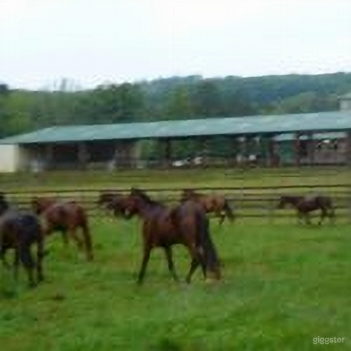 Large Scenic Paddocks Photo 4