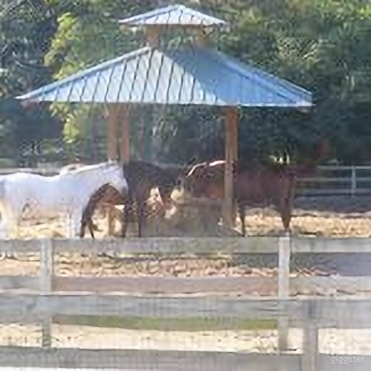 Large Scenic Paddocks Photo 3