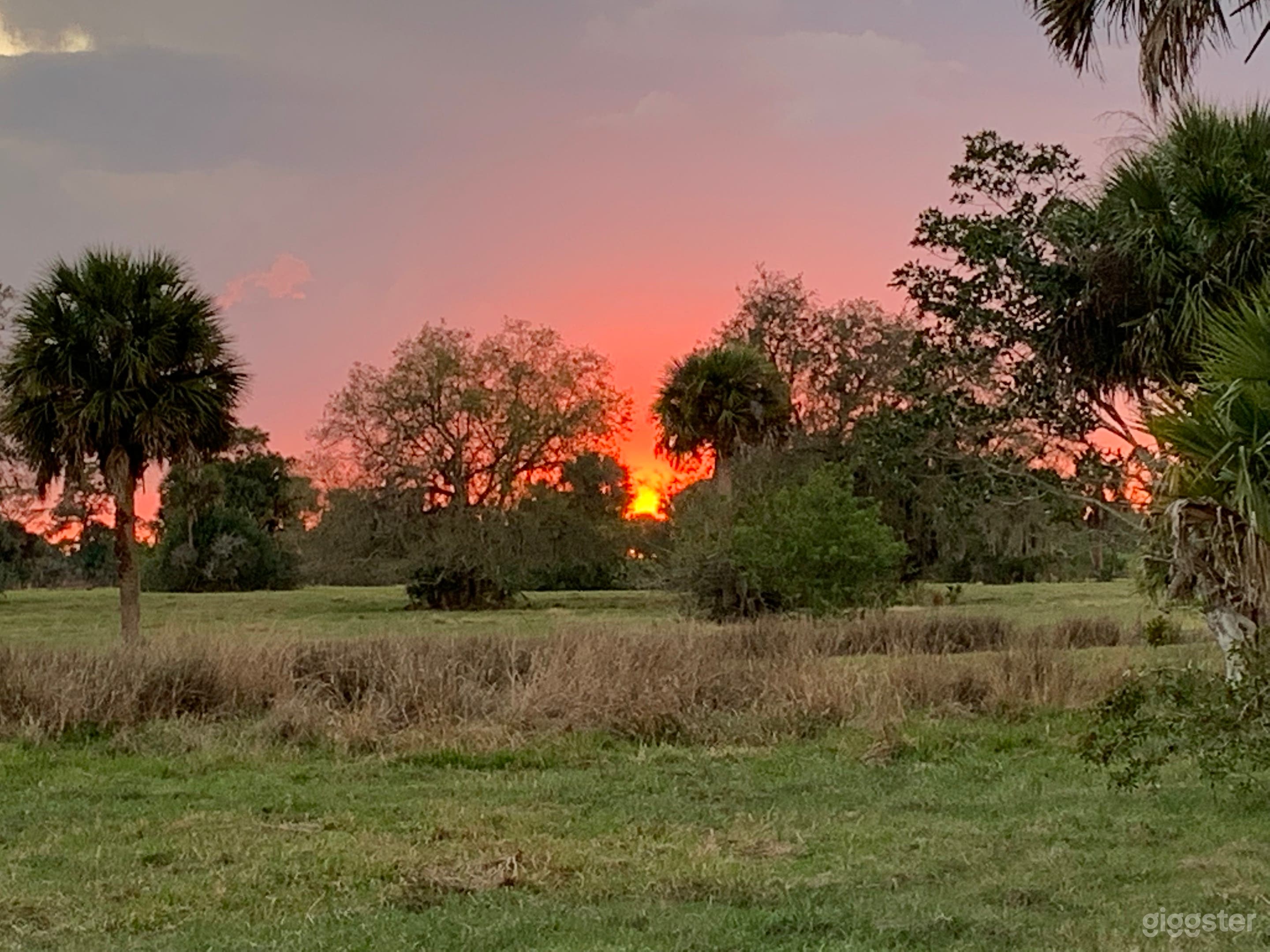 Picturesque Old Florida Ranch Photo 4