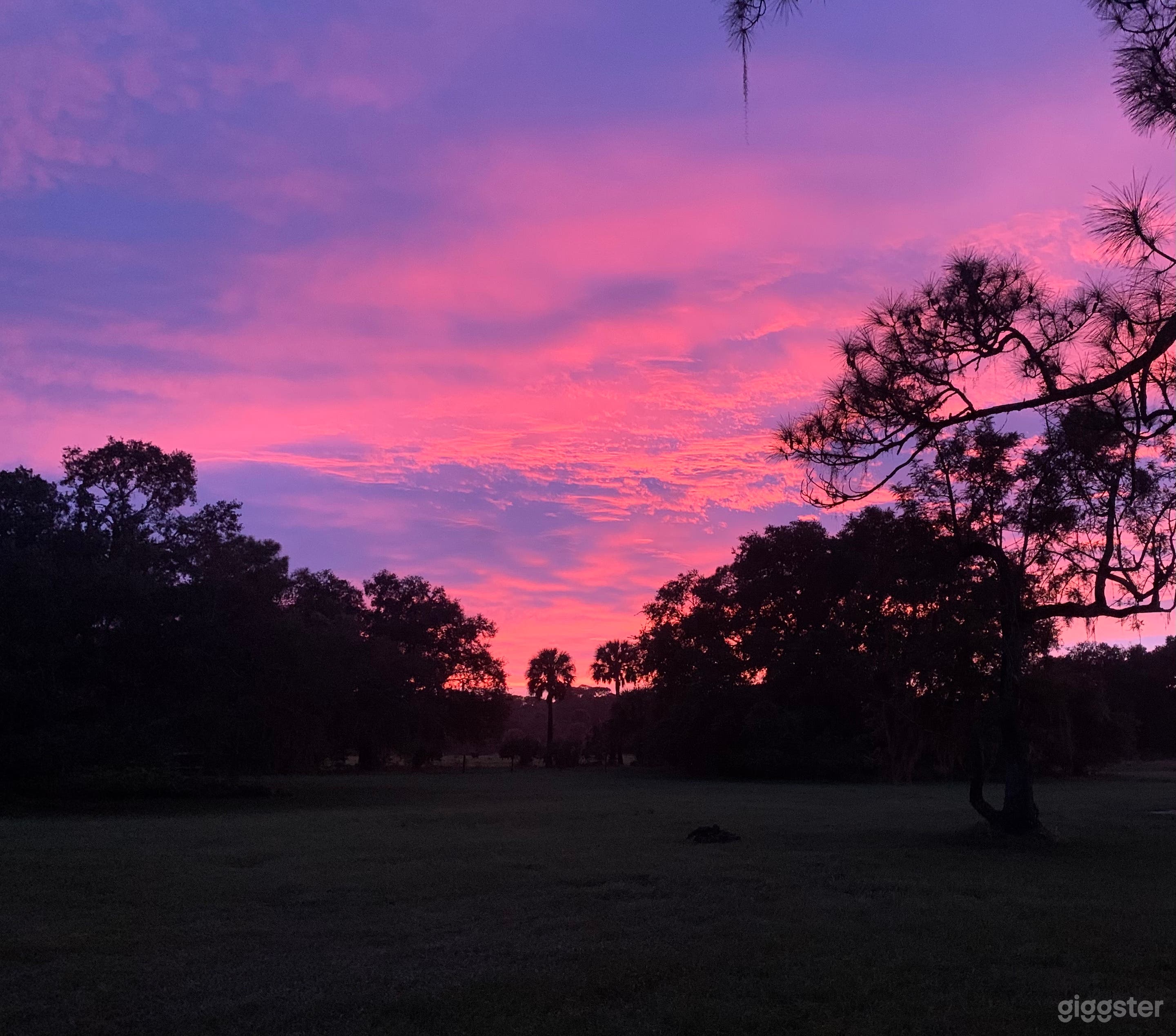 Picturesque Old Florida Ranch Photo 2