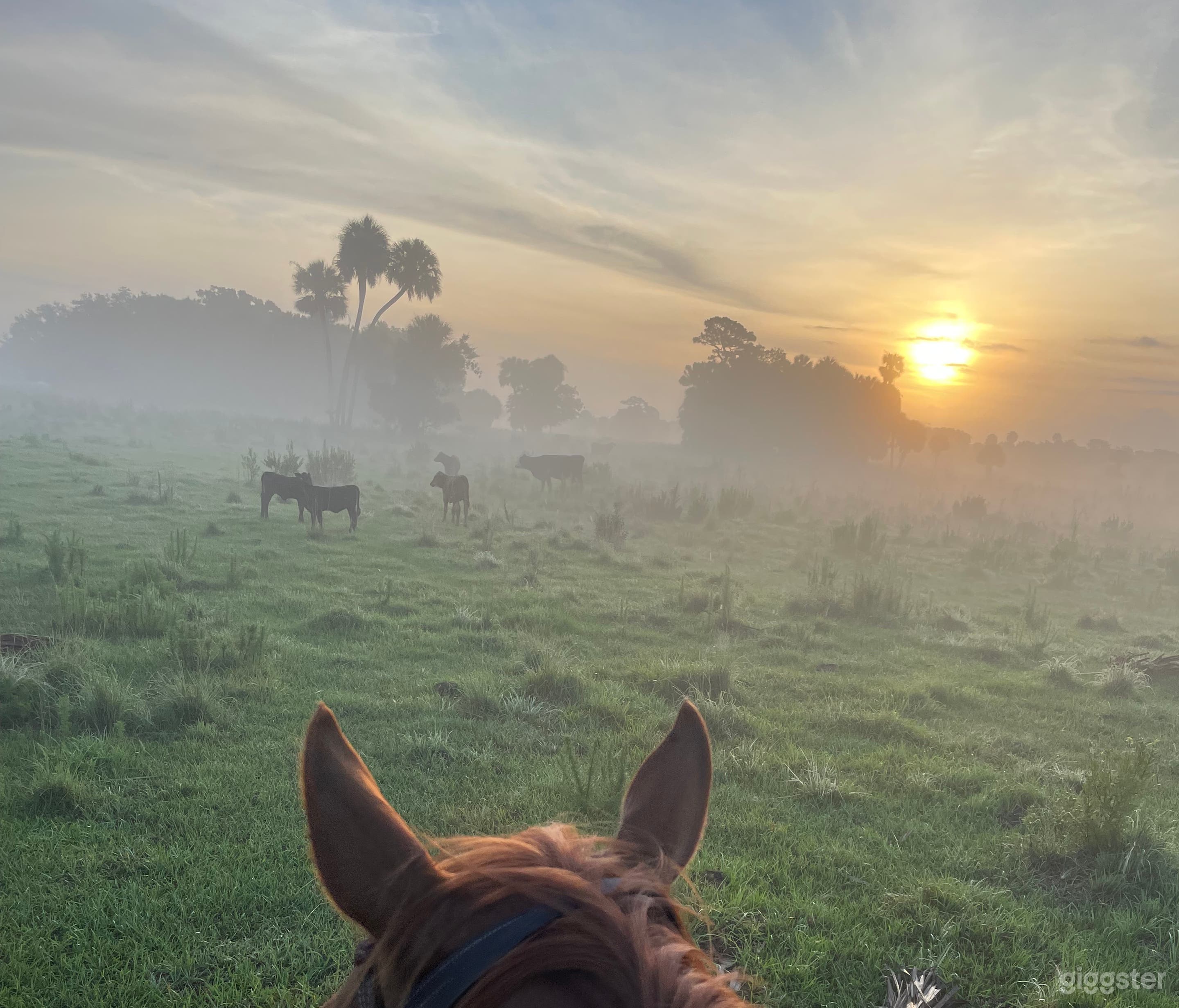 Picturesque Old Florida Ranch Photo 1