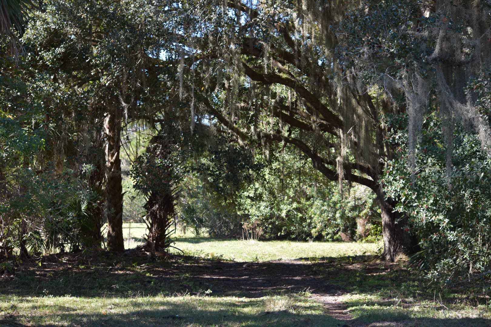 Picturesque Old Florida Ranch Photo 3