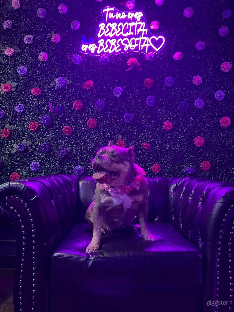  Private Events & Corporate Gatherings 