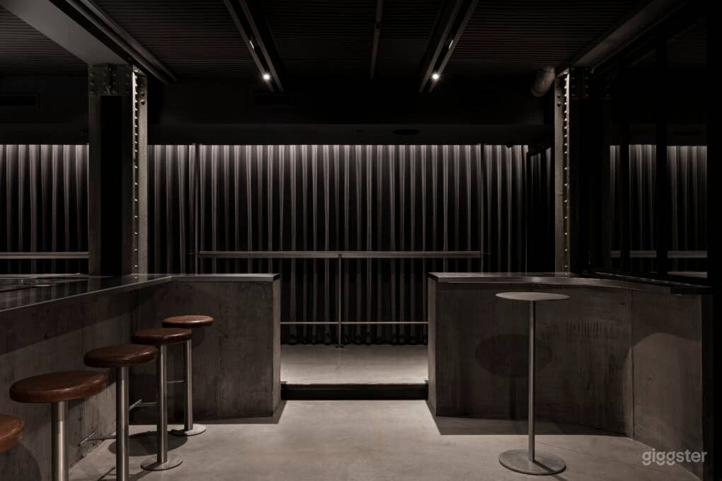 Modern Industrial Cocktail bar Photo 4