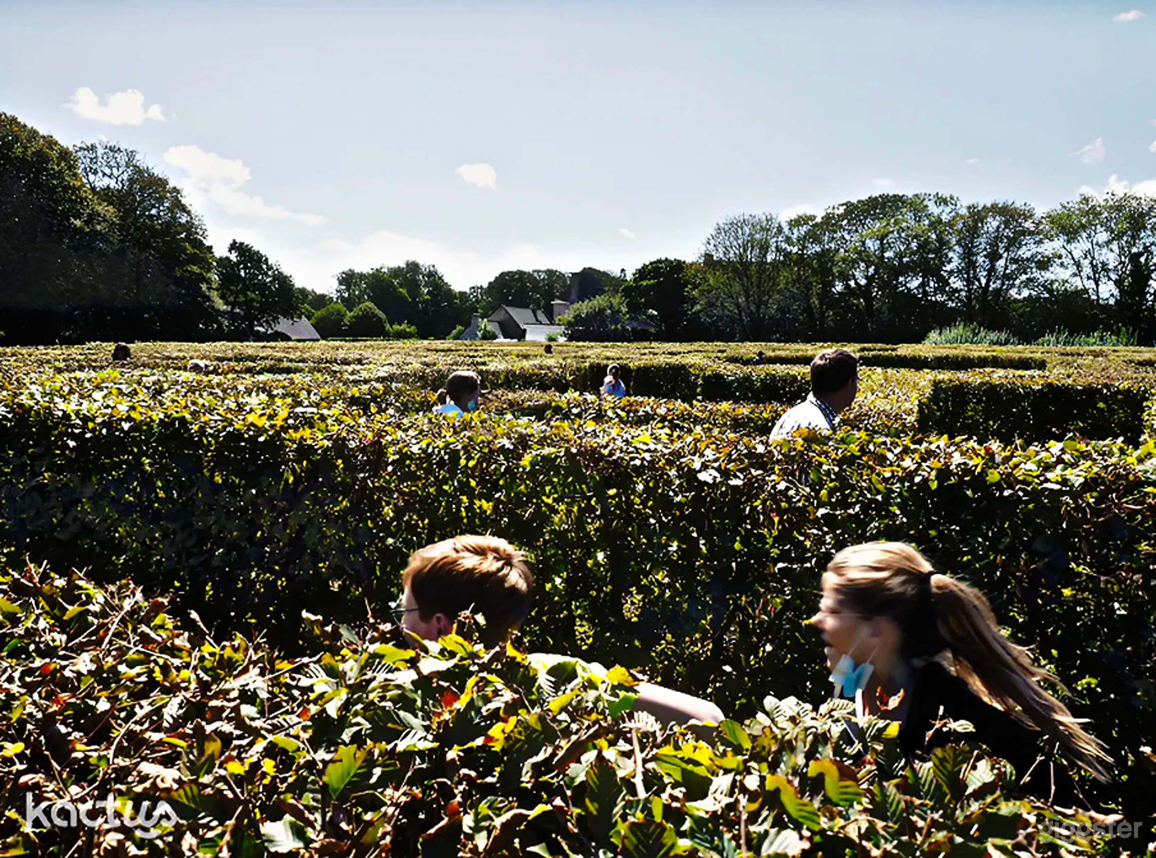 Photo de Domaine extérieur dans la campagne luxuriante du Finistère 2