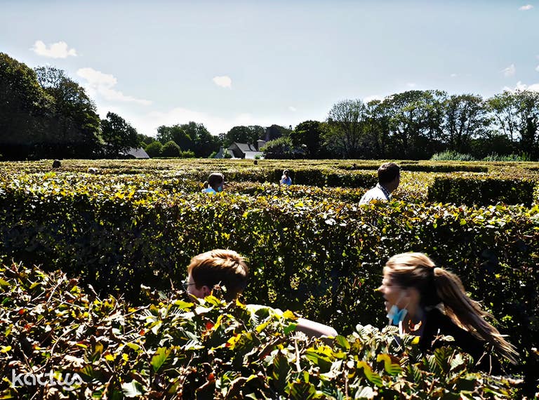  Domaine extérieur dans la campagne luxuriante du Finistère 