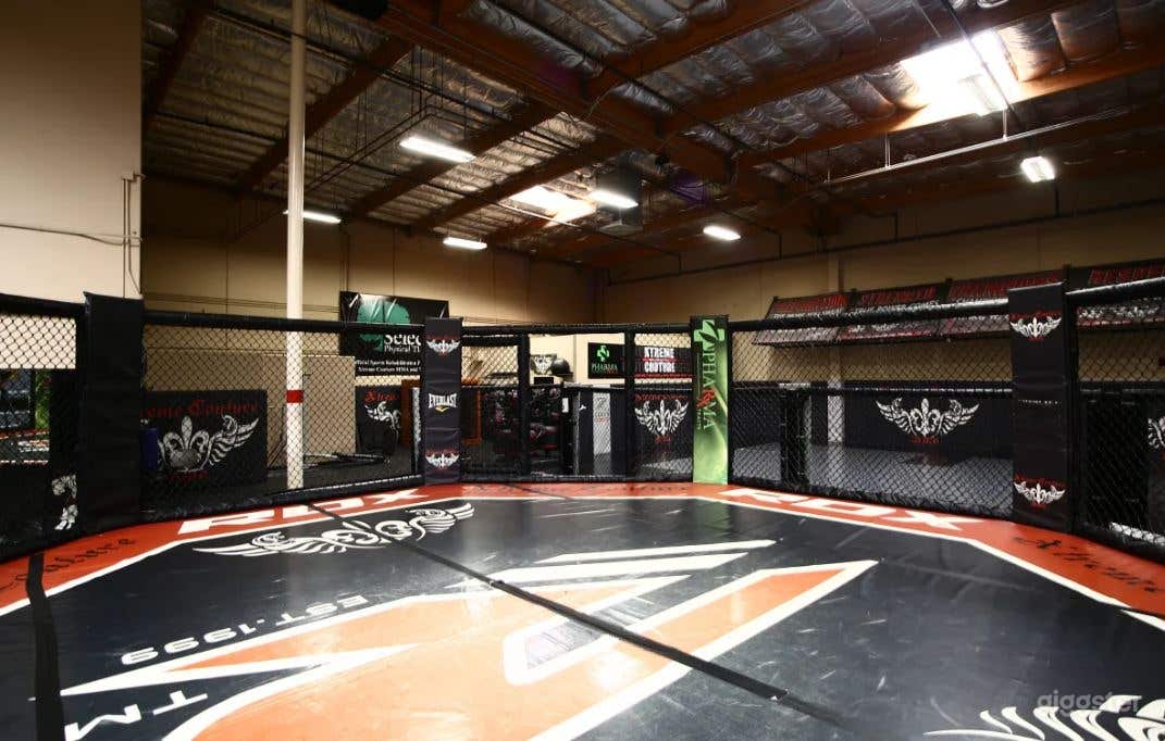 Huge Training Octagon with World Class Amenities Two Miles from the Strip Photo 3