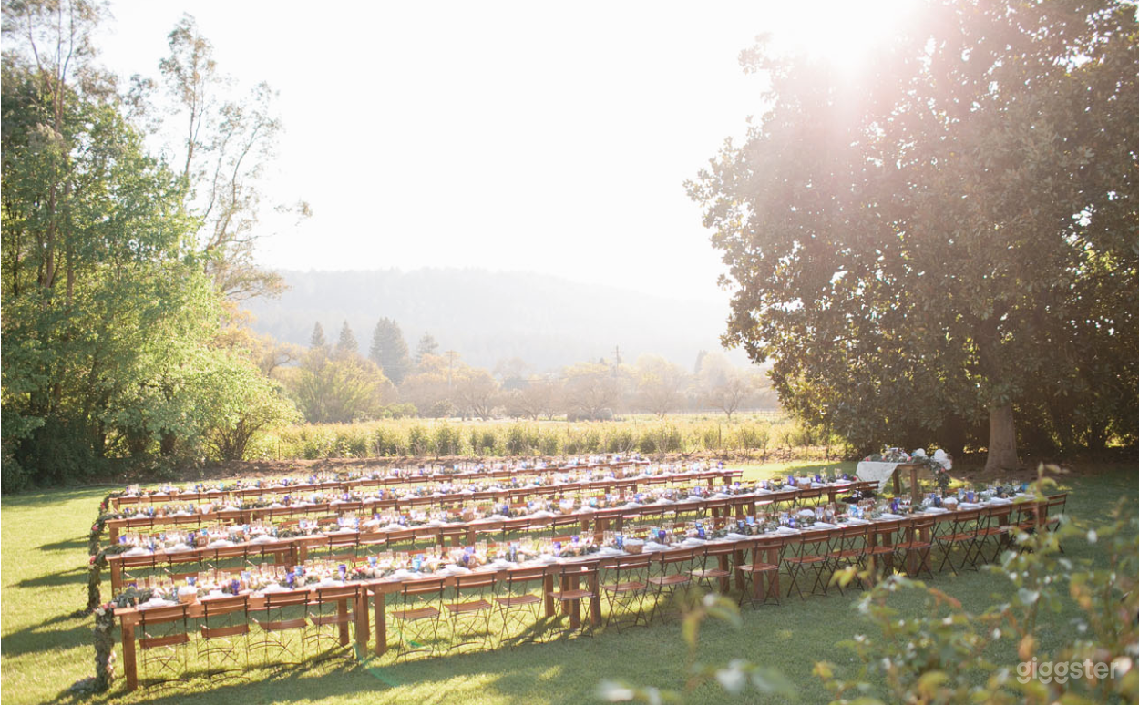 The Estate Winery Great Lawn Photo 2