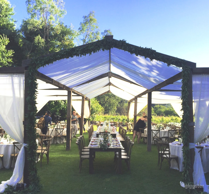 The Estate Winery Great Lawn Photo 4