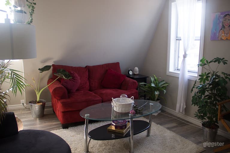  Unique Sunny Bohemian Jungle  