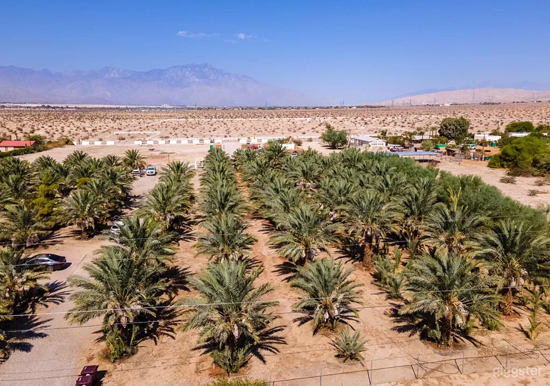 Property include 100 date palm trees.