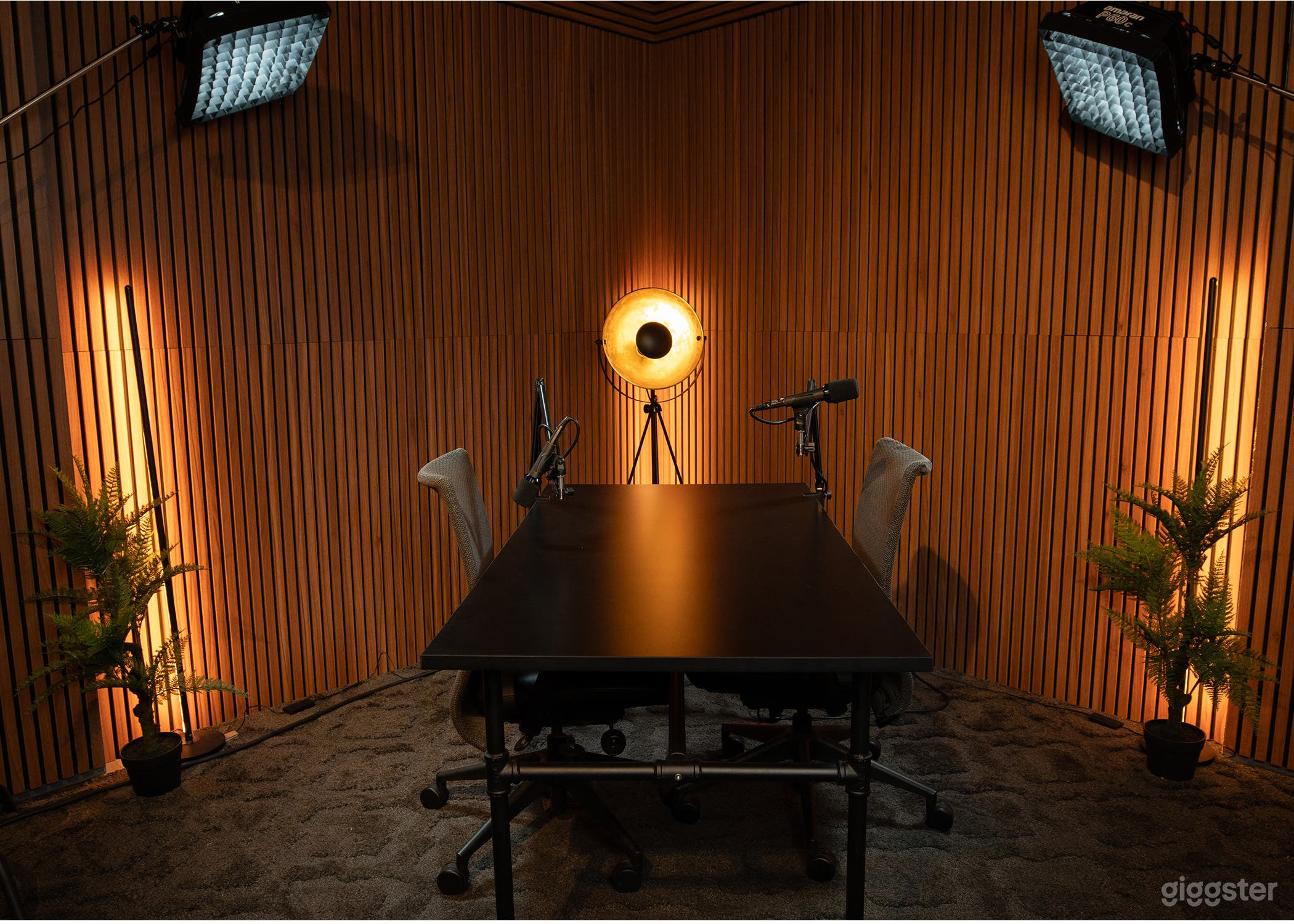 Versatile Podcast & Video Studio Photo 2