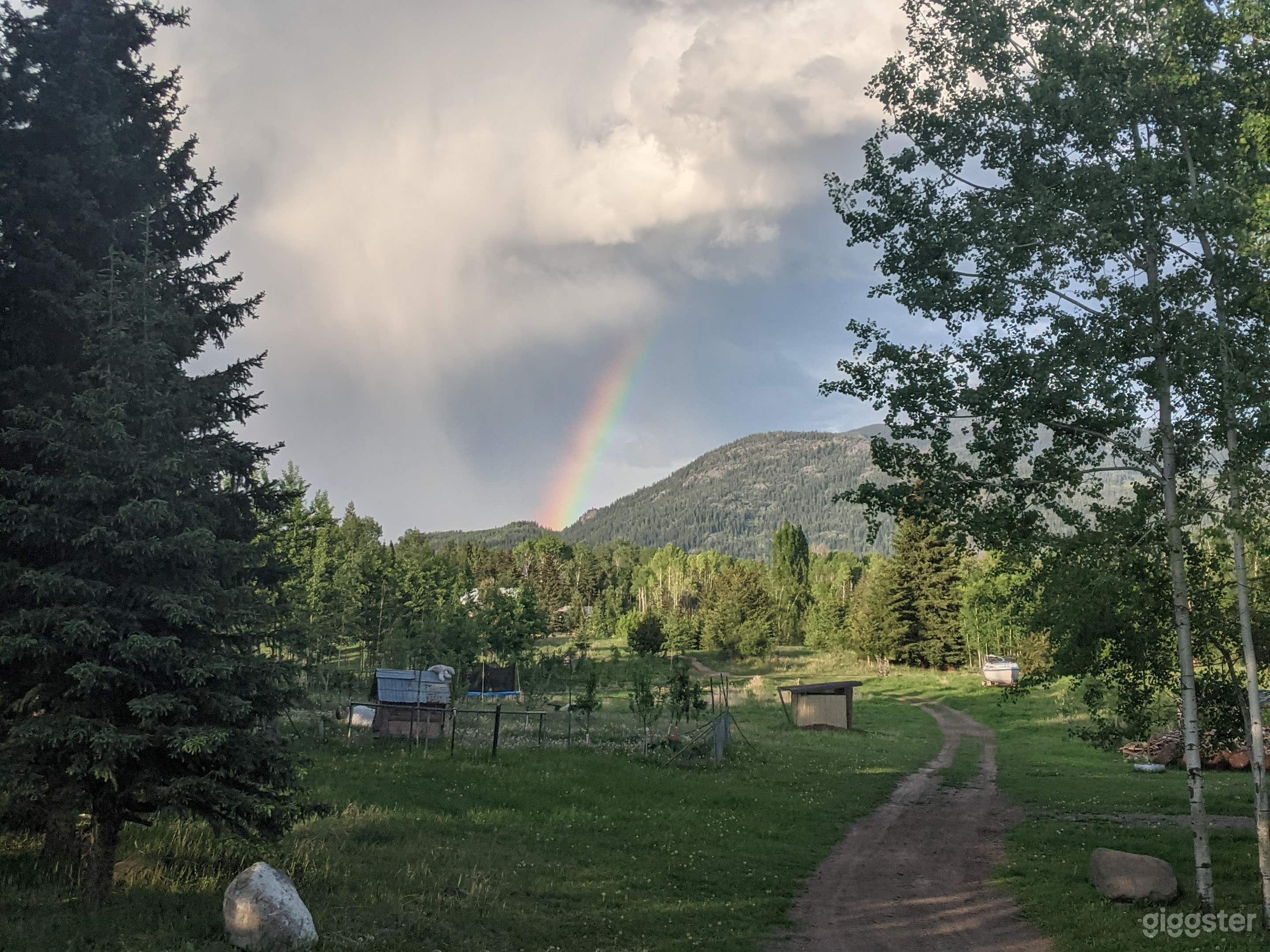 Facing east looking across part of the orchard, out house, and half of the circular driveway.  We are looking in the direction of the barn.