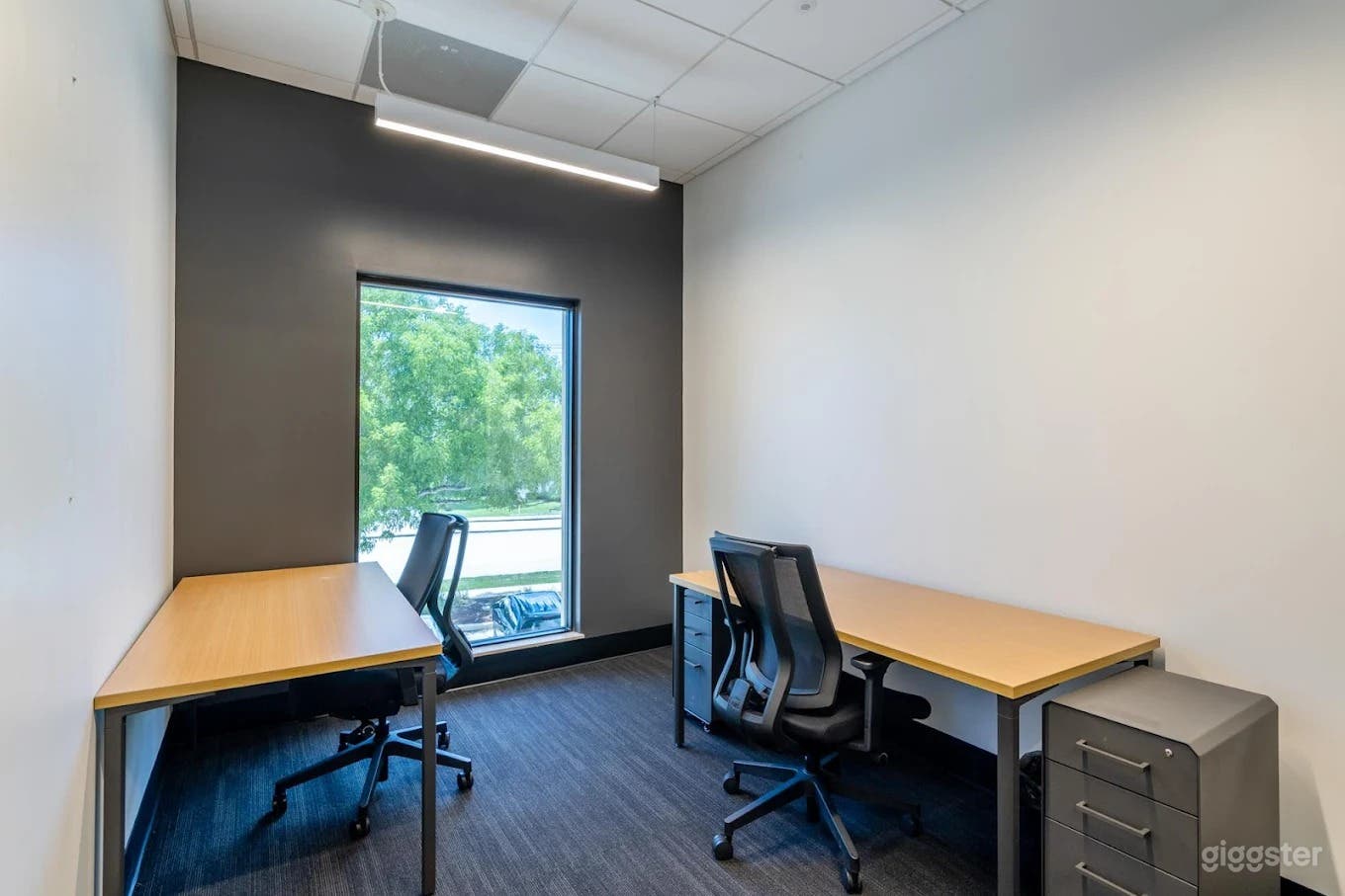 Medium Conference Room Photo 4