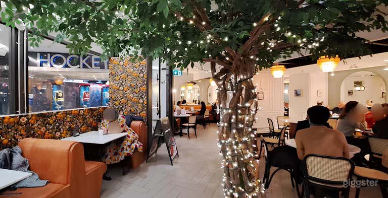  Tree-Filled European Cafe/Bar Setting in Downtown Toronto 