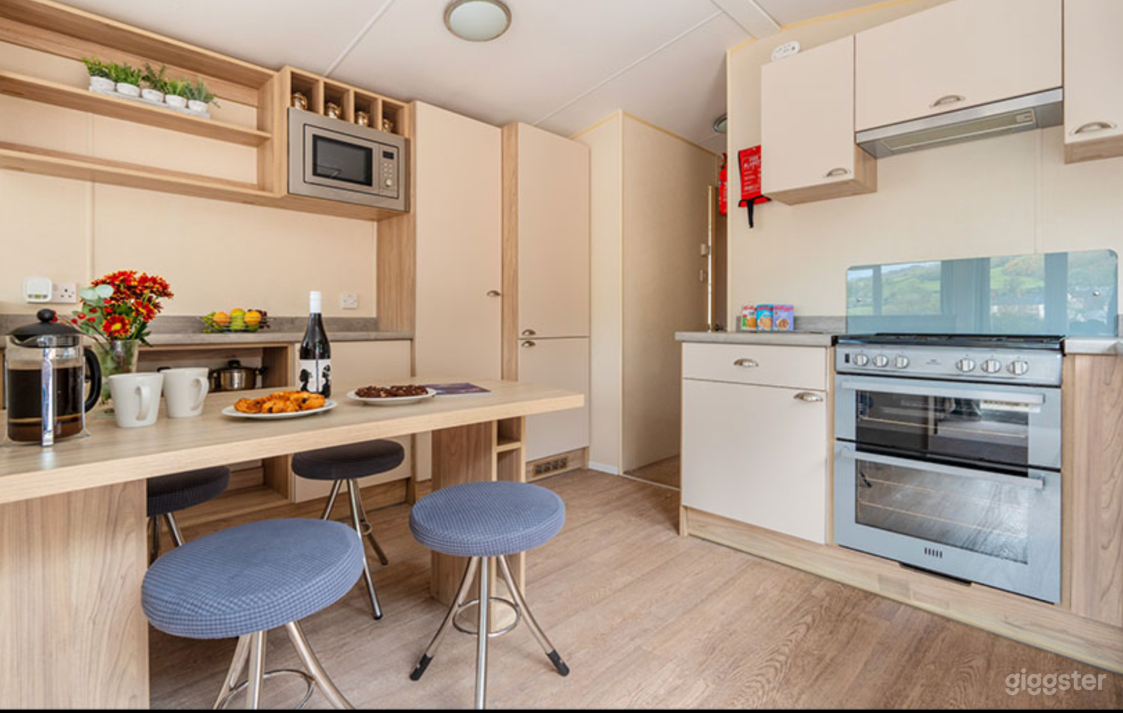 Beech Lodge Caravan Photo 4