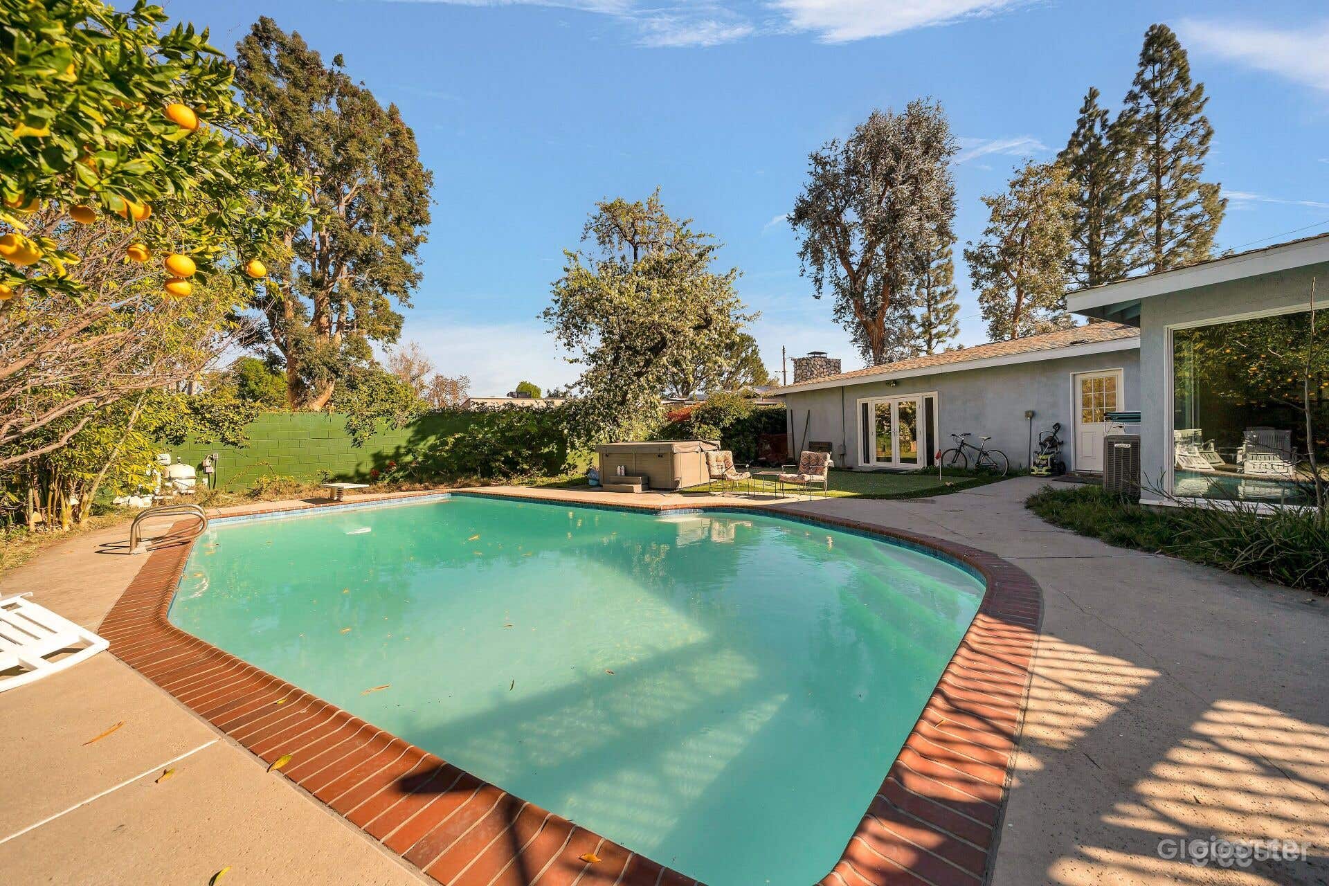  RETRO VAN NUYS MID-CENTURY CHARM/POOL Photo 3