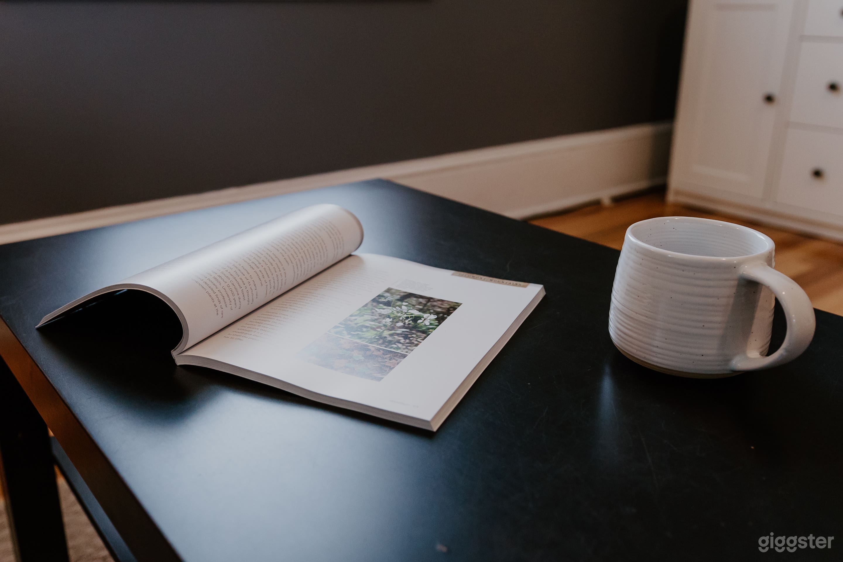 Newly renovated historic millhouse Photo 4