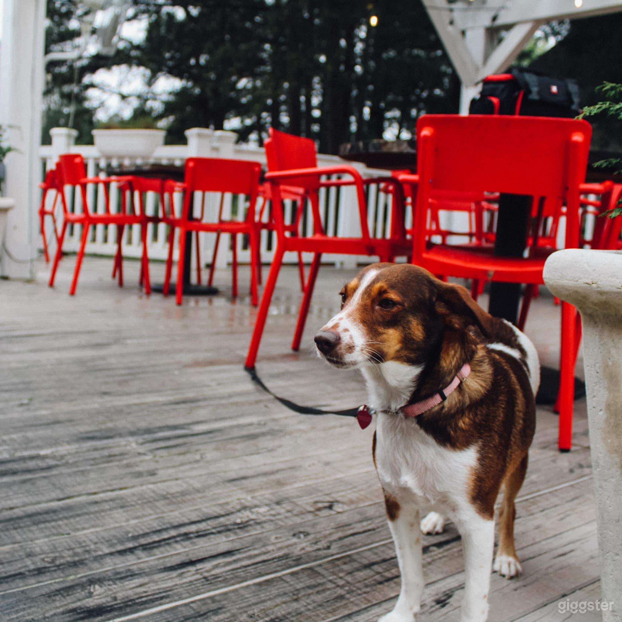 Bright Patio and Restaurant in Marietta Photo 3