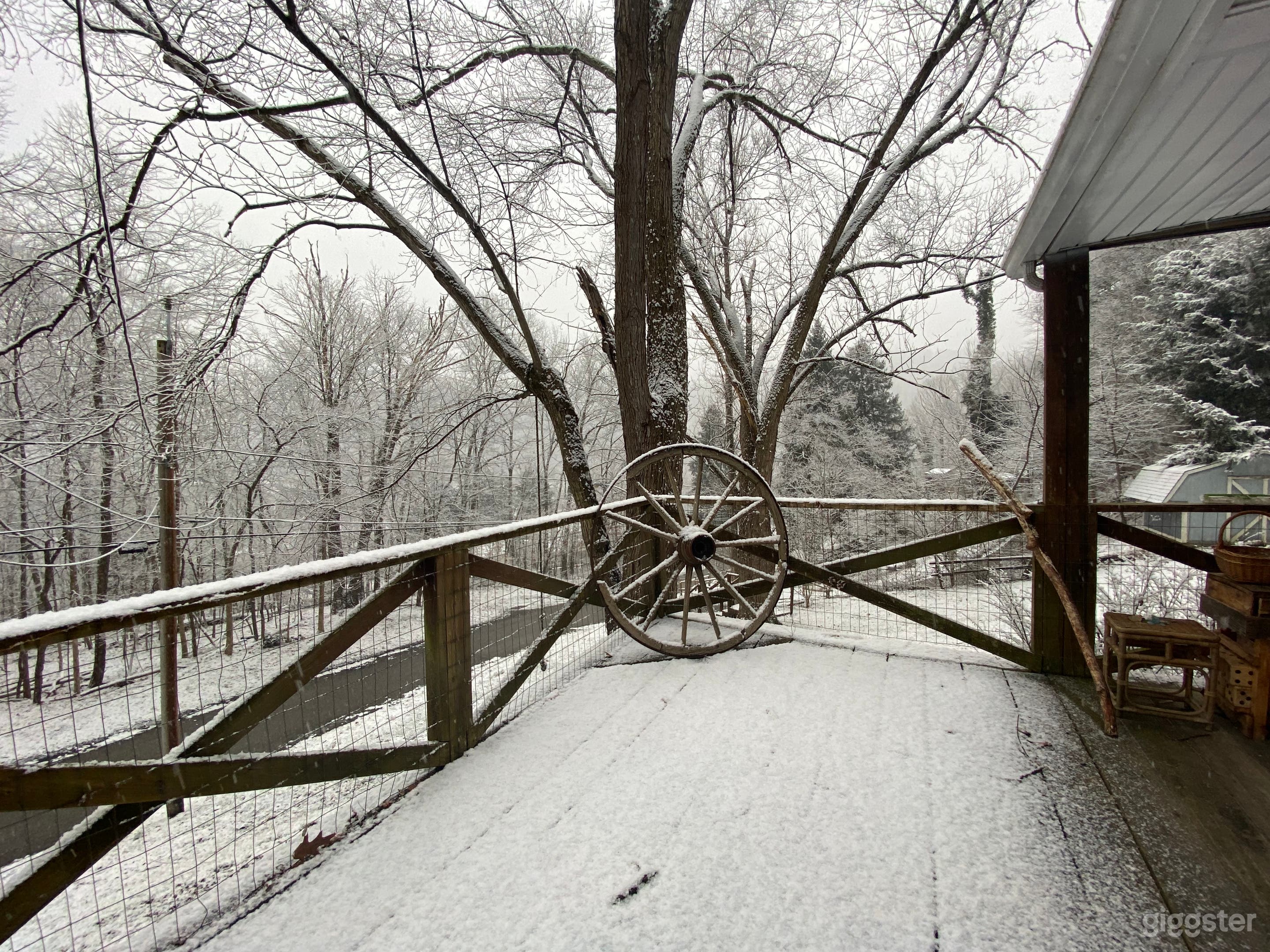 Woodsy Cottage w/overlooking creek views from deck Photo 3