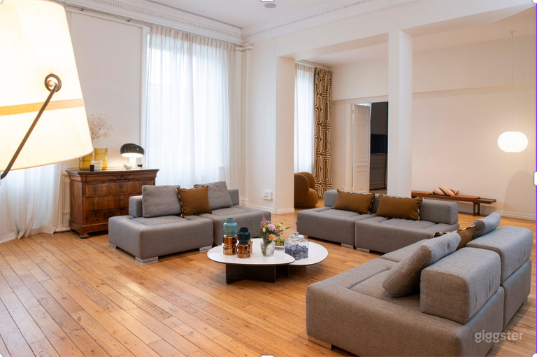  An exceptional apartment in the heart of Lyon 
