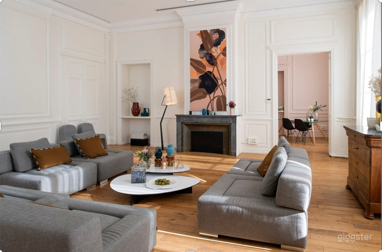  An exceptional apartment in the heart of Lyon 