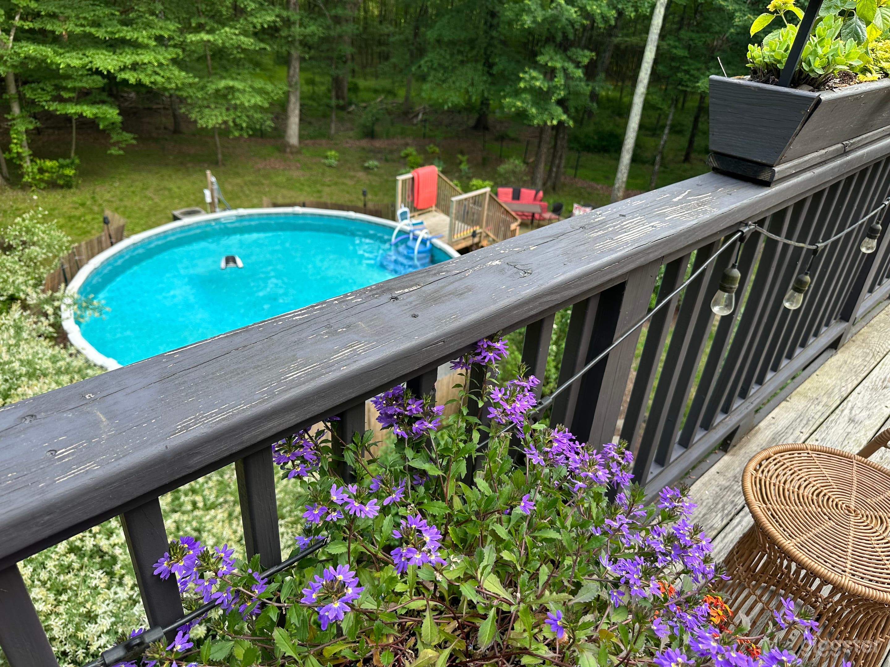New Paltz tree house with sloping yard and pool Photo 4