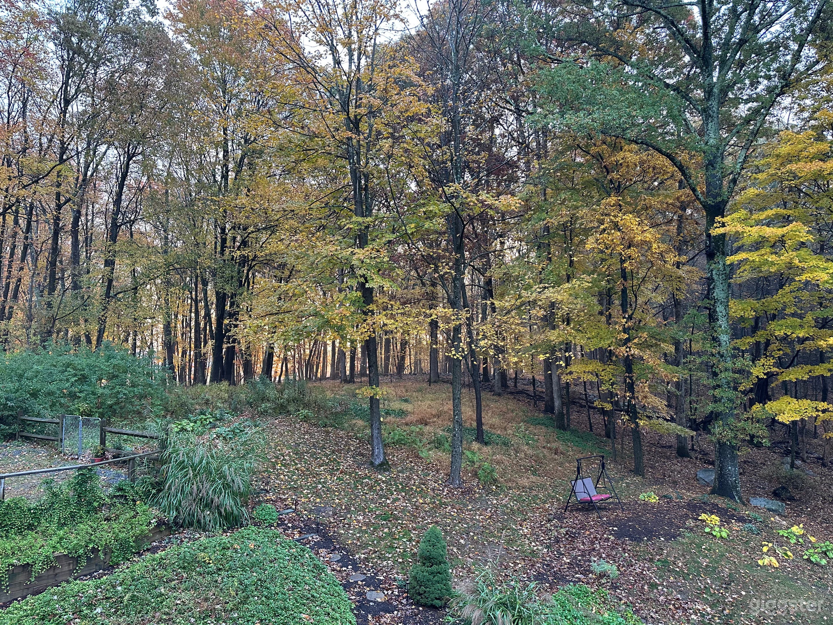 New Paltz tree house with sloping yard and pool Photo 2