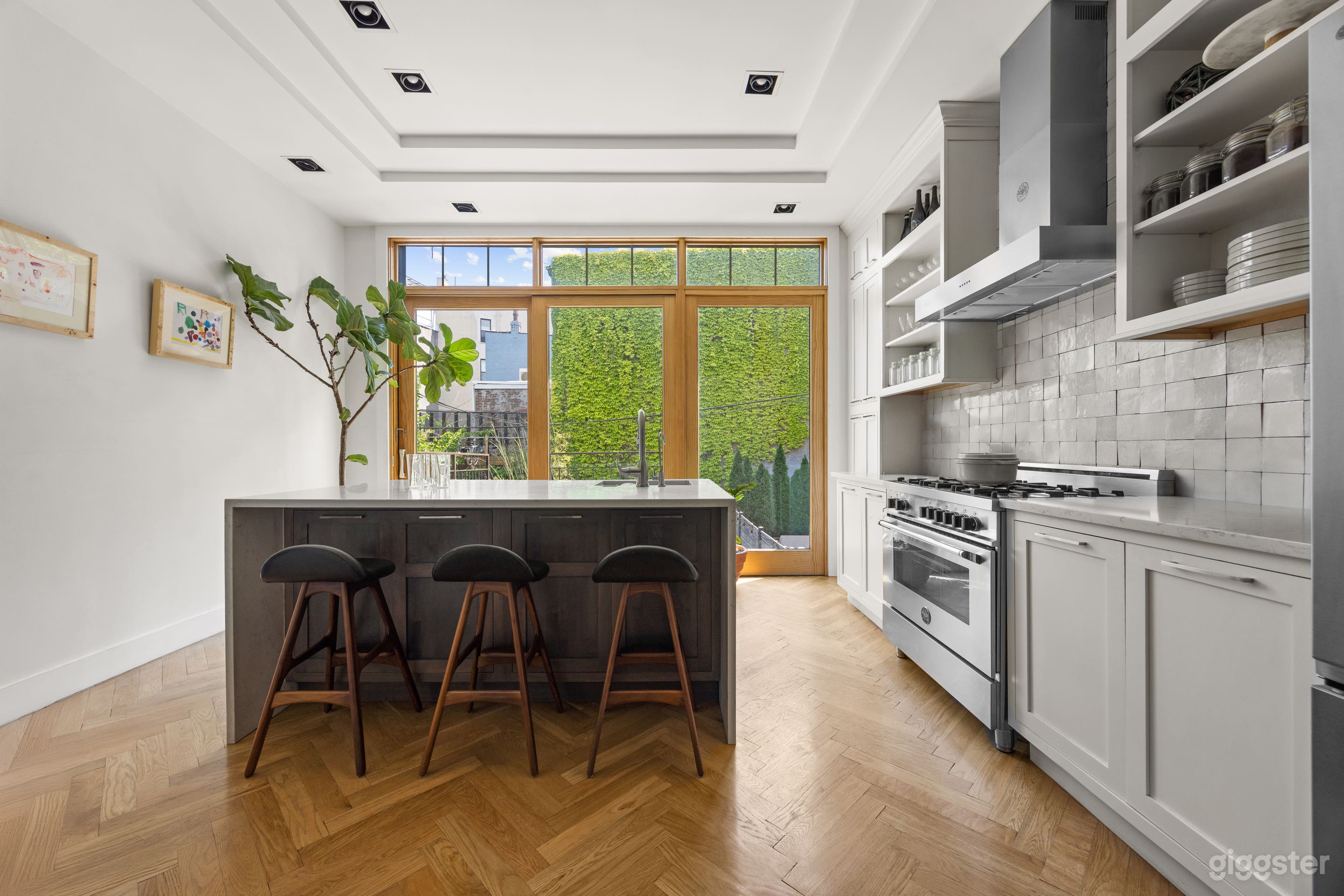 Mid Century Modern Brooklyn Brownstone Photo 4