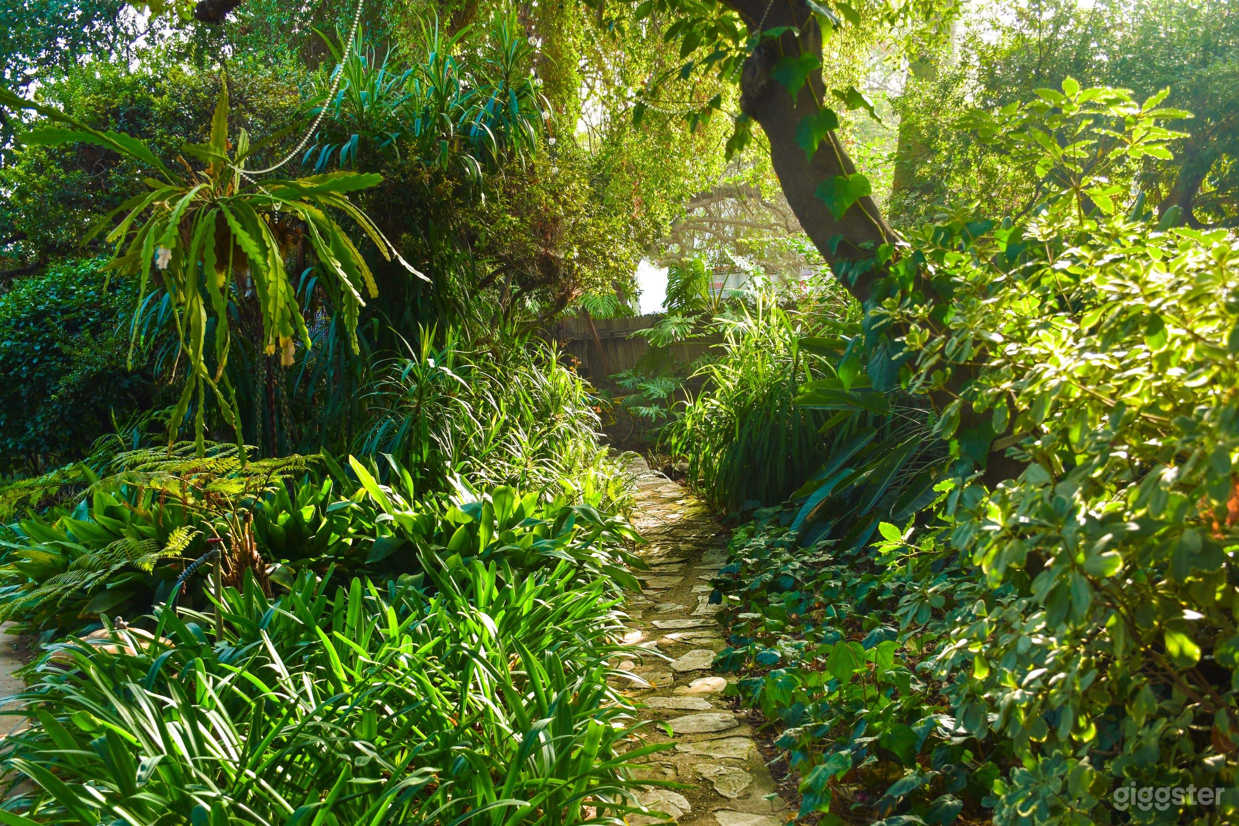 Lush Jungle &amp; Outdoor Studio Photo 3