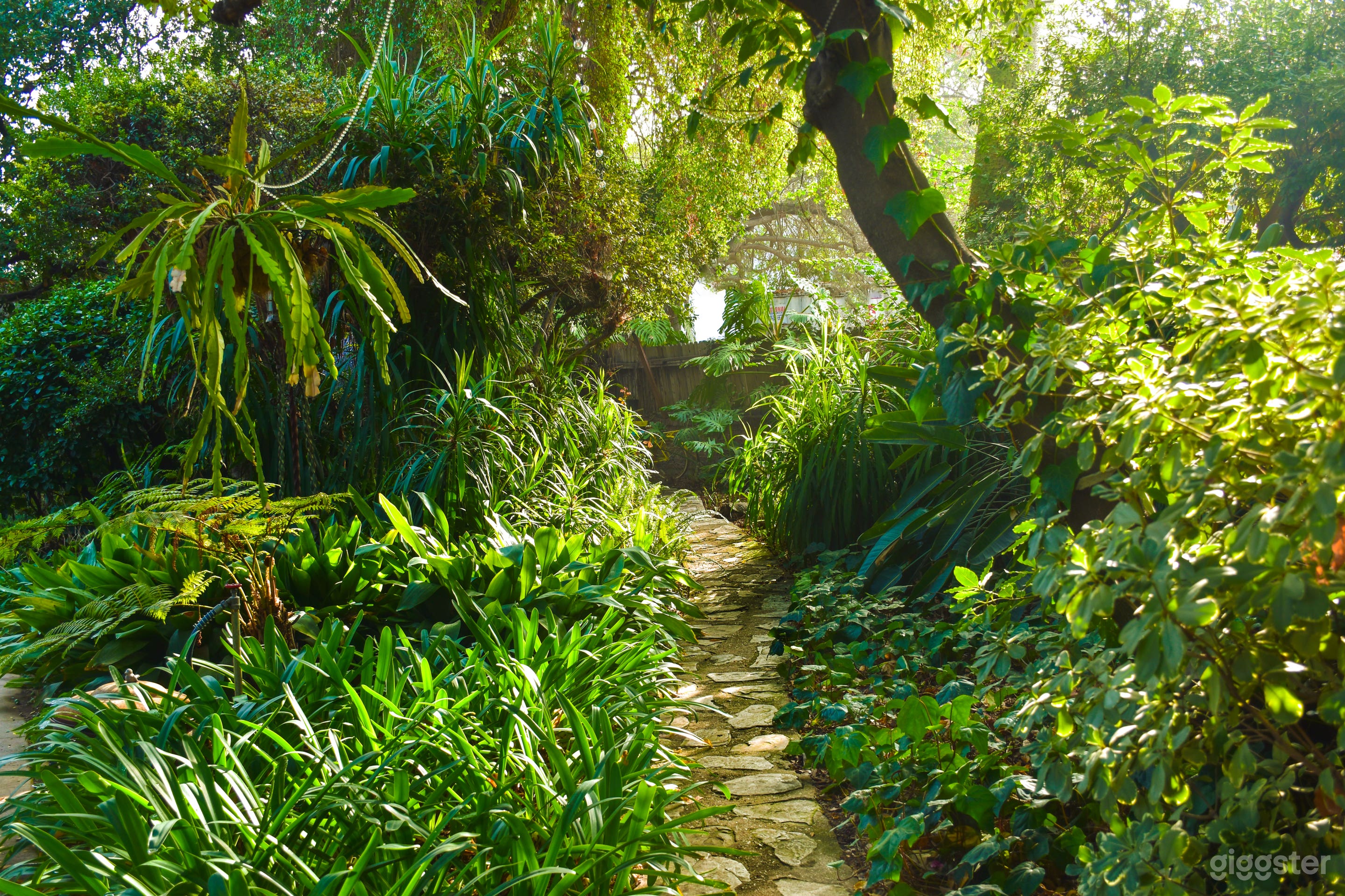 Lush Jungle &amp; Outdoor Studio Photo 1