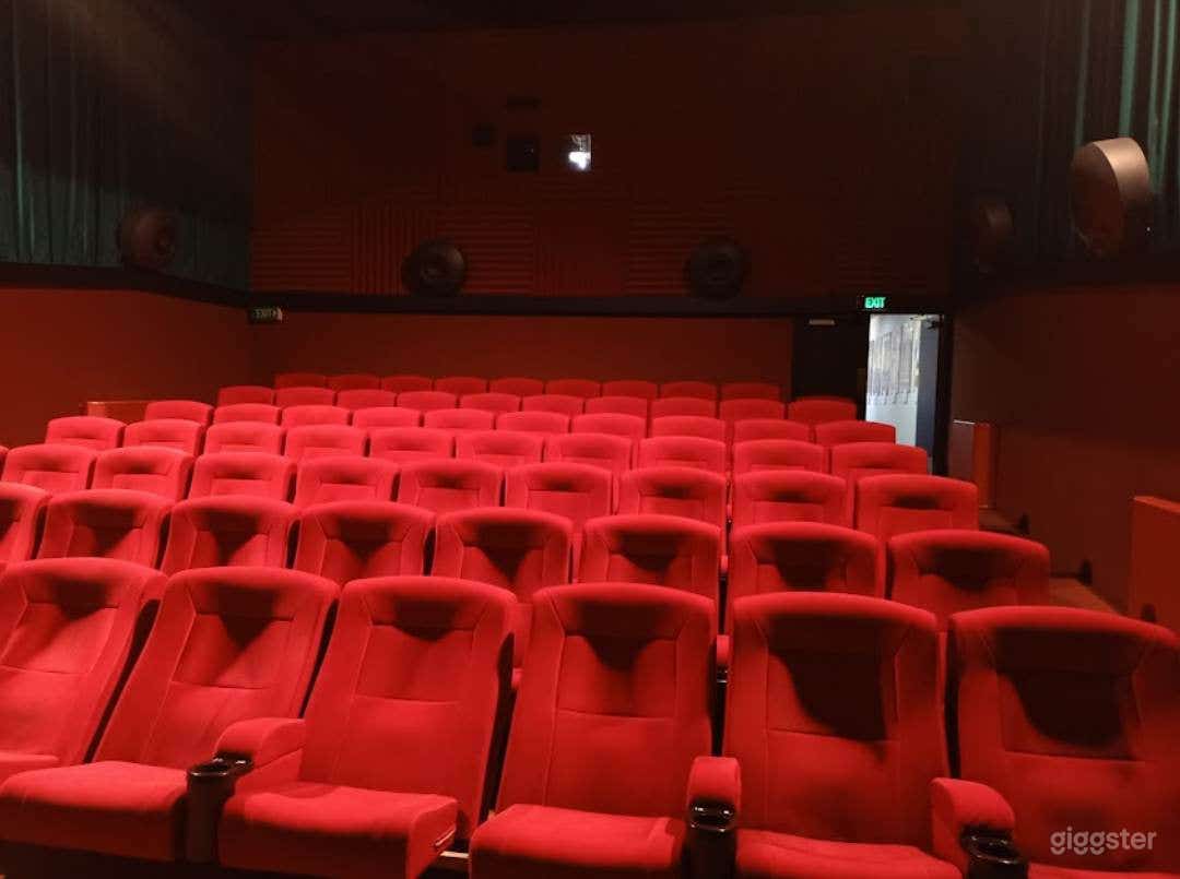 Great and Spacious Cinema in Ashburton (BUYOUT) Photo 1