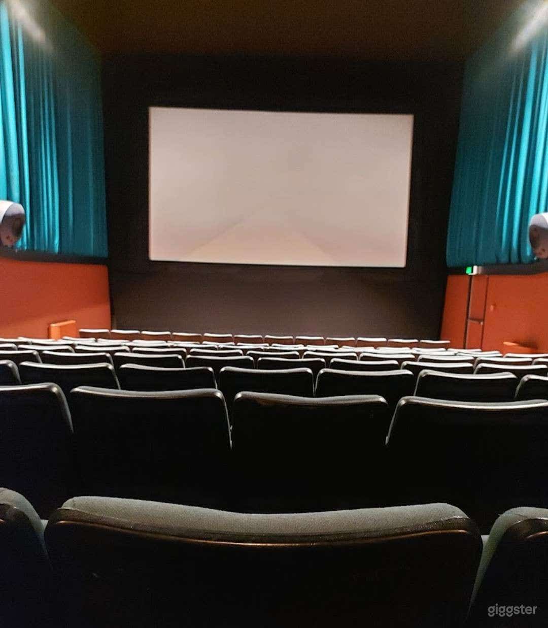 Great and Spacious Cinema in Ashburton (BUYOUT) Photo 2