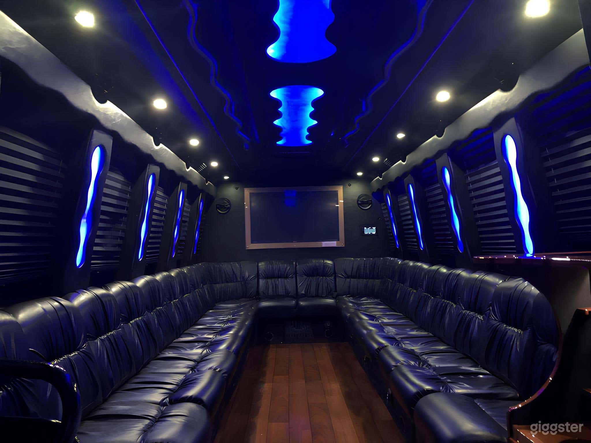 22 Passenger Limo Party Bus Photo 3