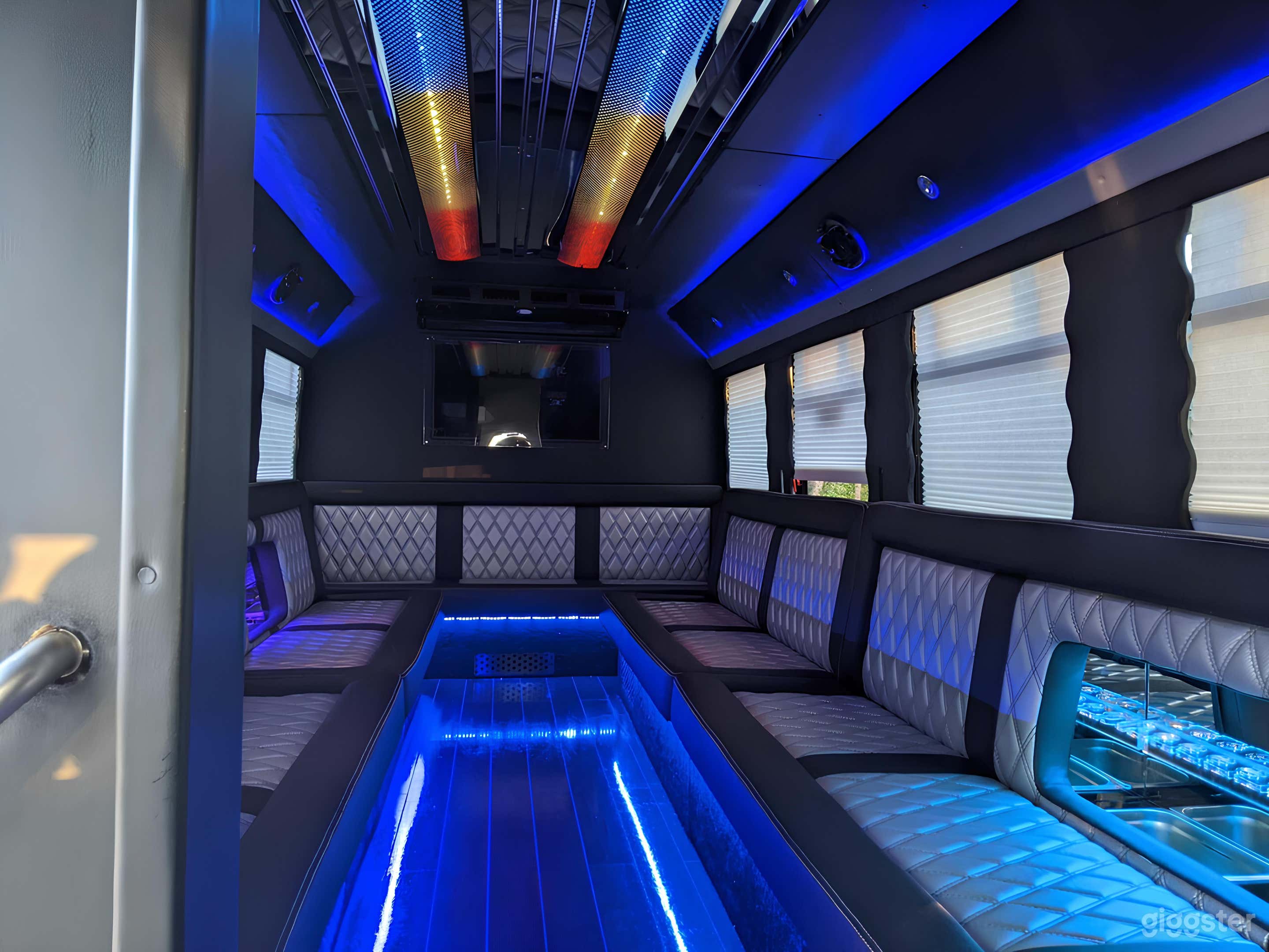 22 Passenger Limo Party Bus Photo 1