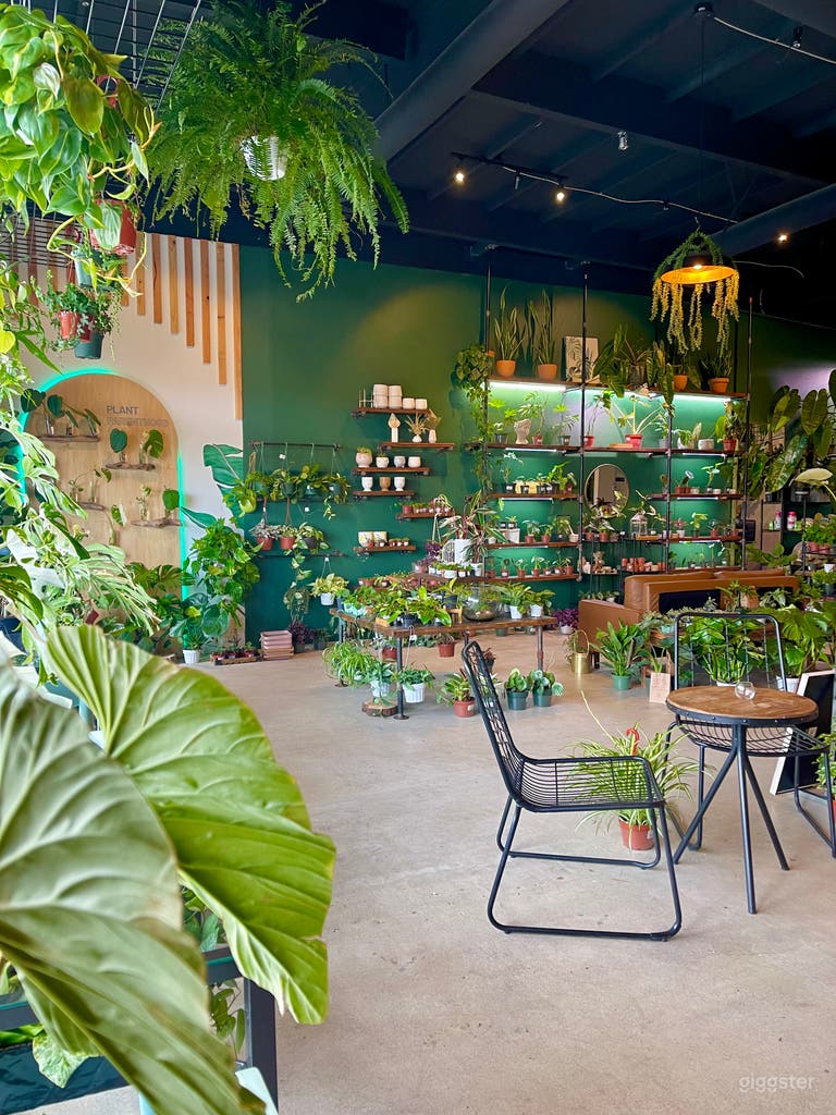  View of our colored wall and the custom made industrial plant shelves  