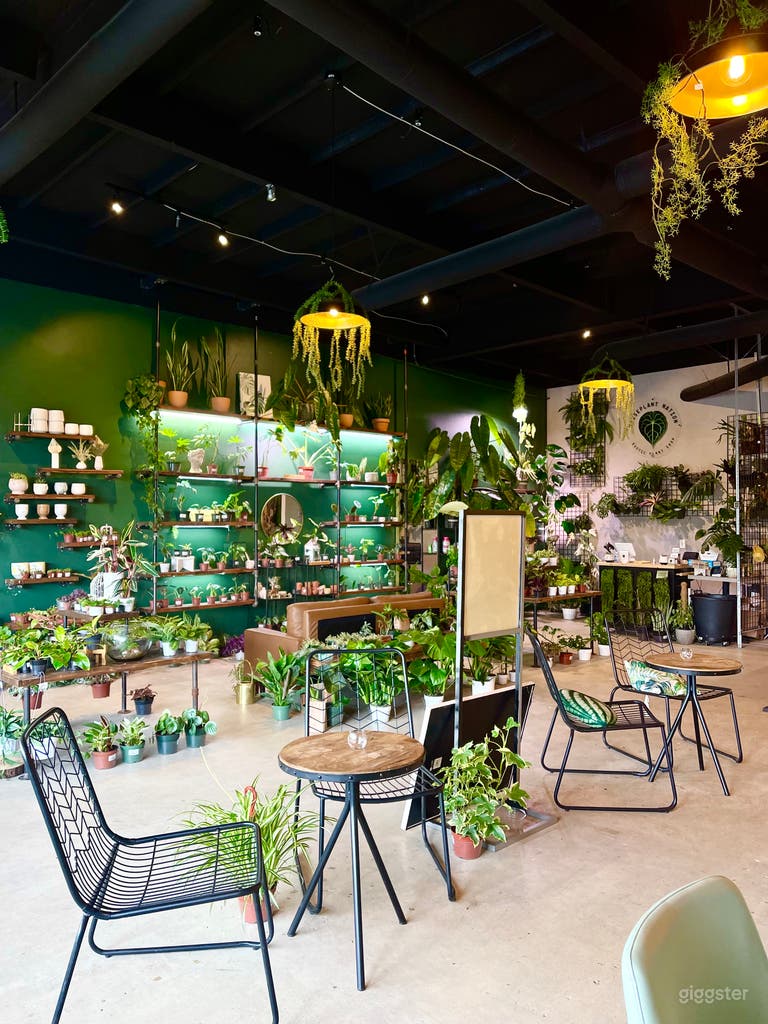  The retail space offer wide variety of exotic indoor specimen plants.  