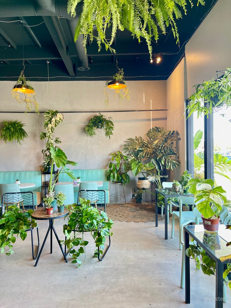  Booth Seatings and large exotic plant specimens. Featuring large windows with tons of natural lighting.  