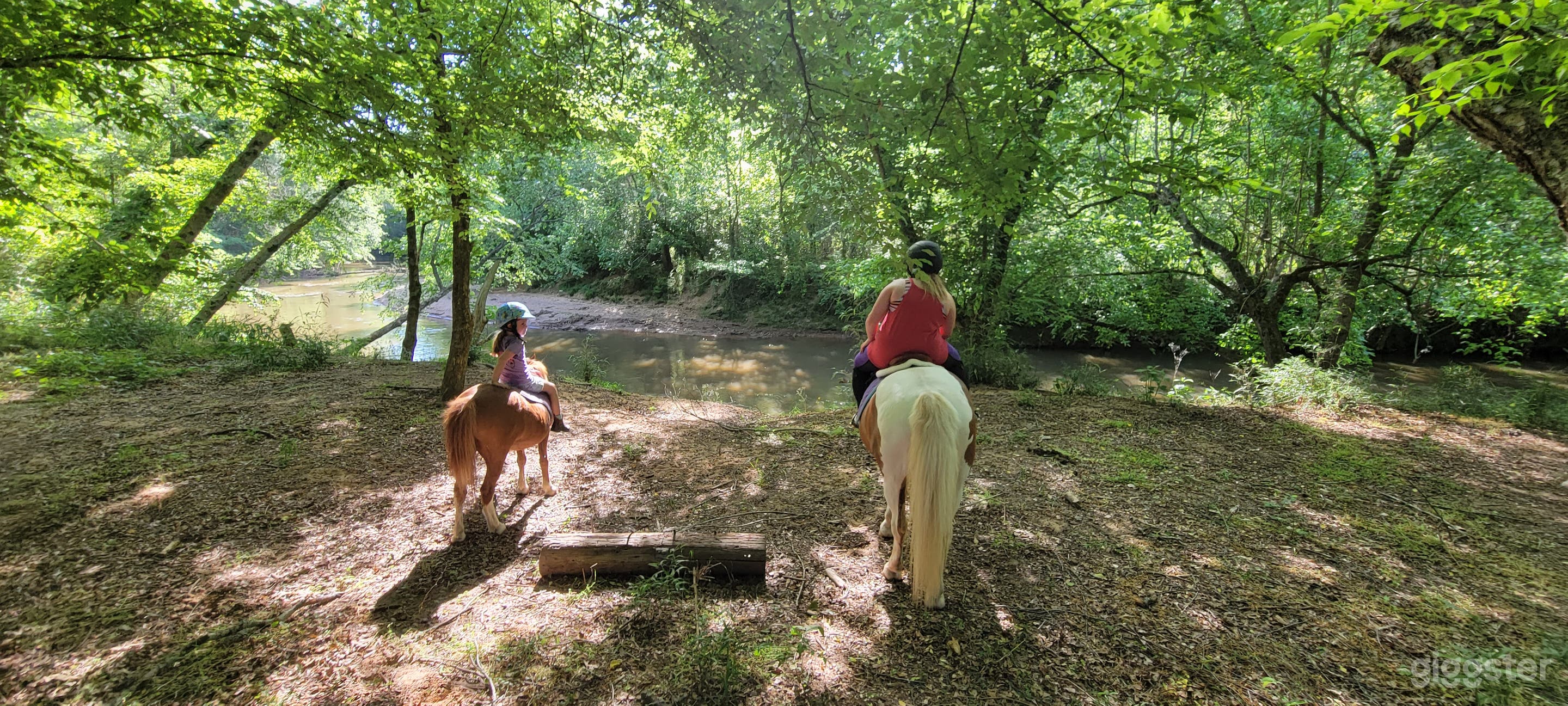 Backyard Creekside Ranch Photo 4