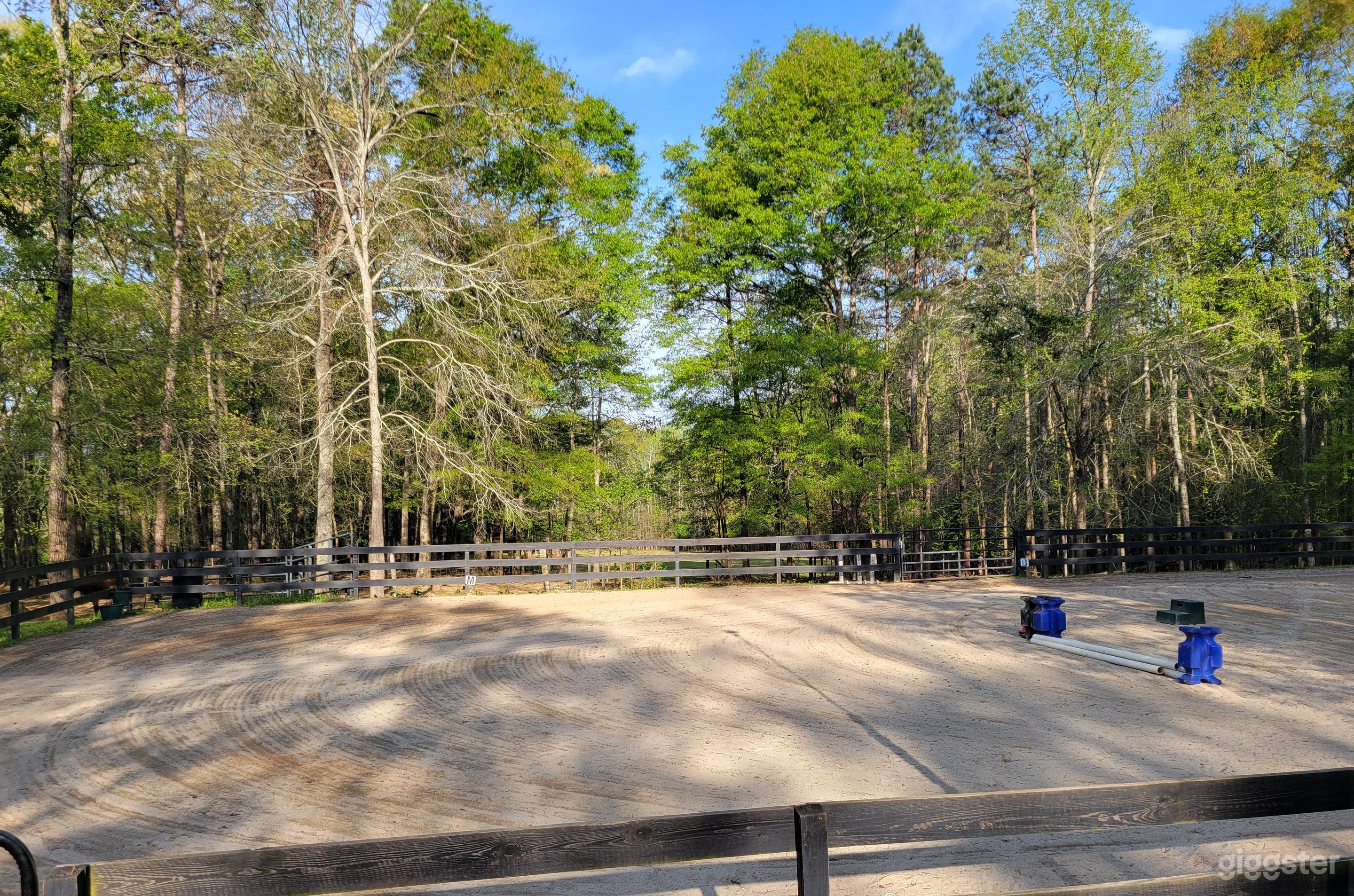 Backyard Creekside Ranch Photo 1