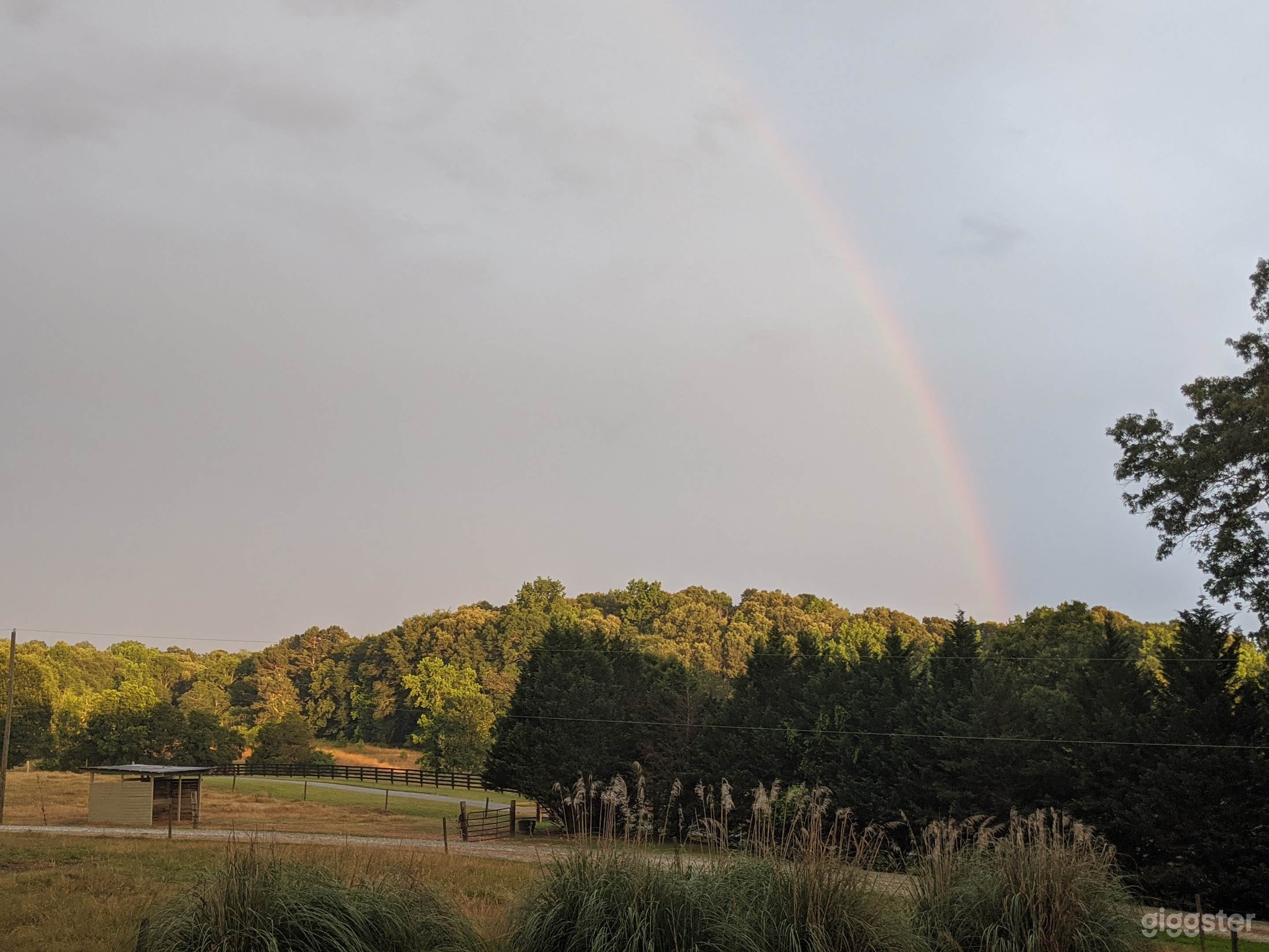 Backyard Creekside Ranch Photo 3