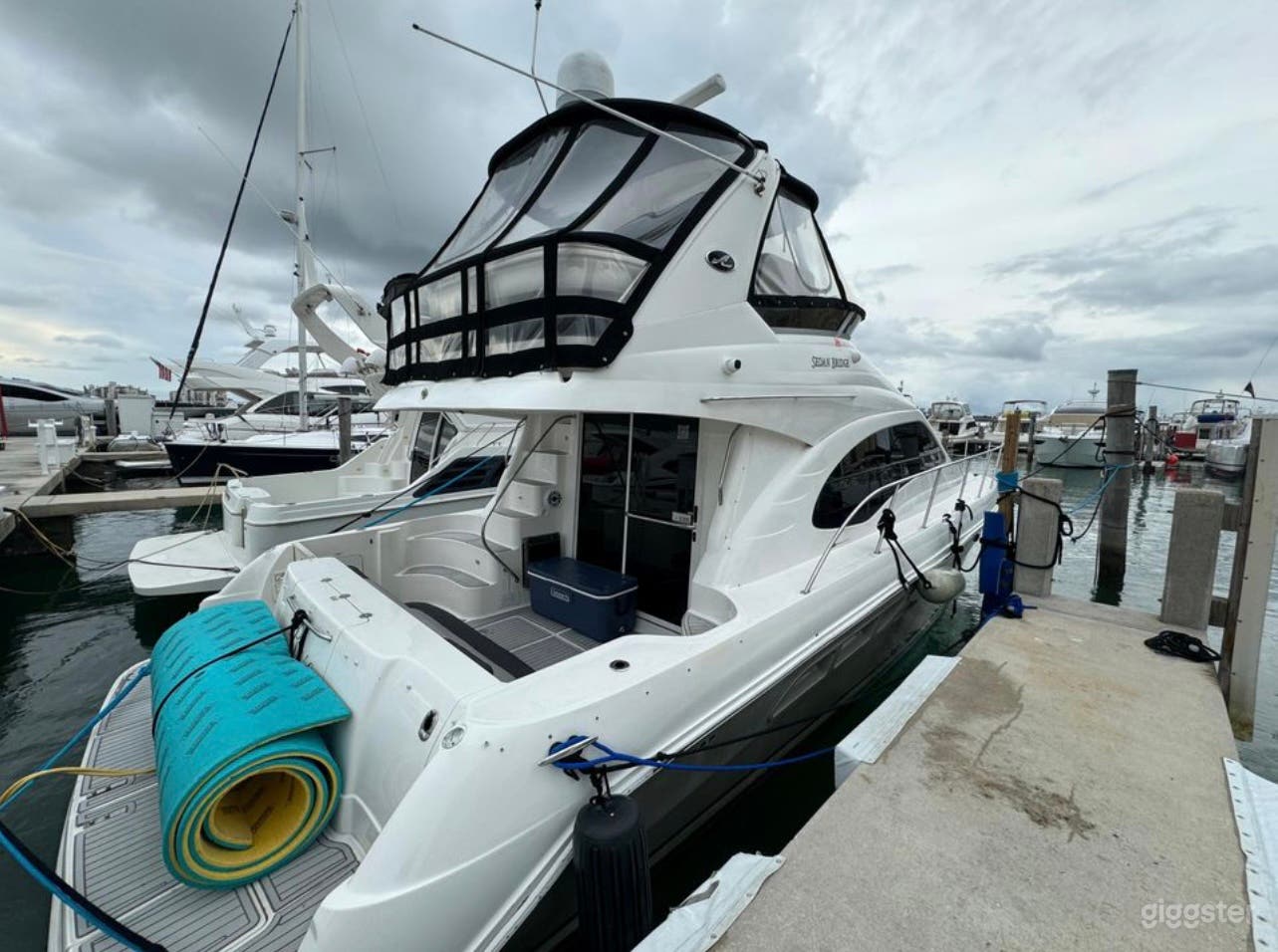 50’ SEA RAY FLYBRIDGE Yacht Photo 4