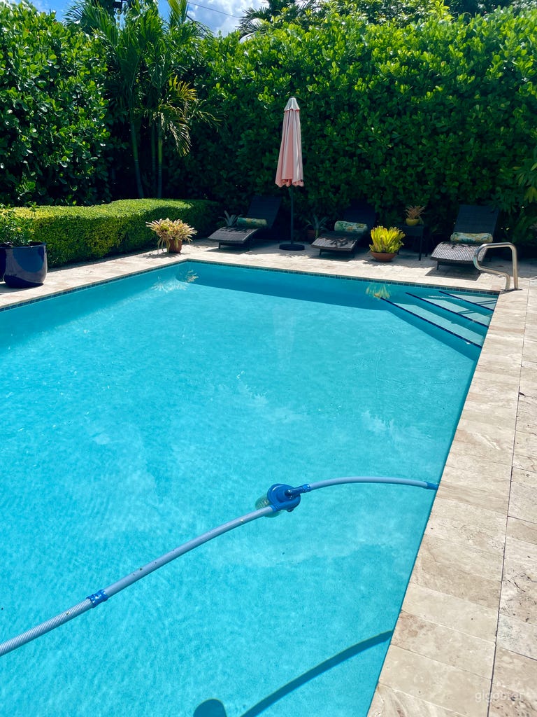  Bright Miami Pool -  photos/videos 