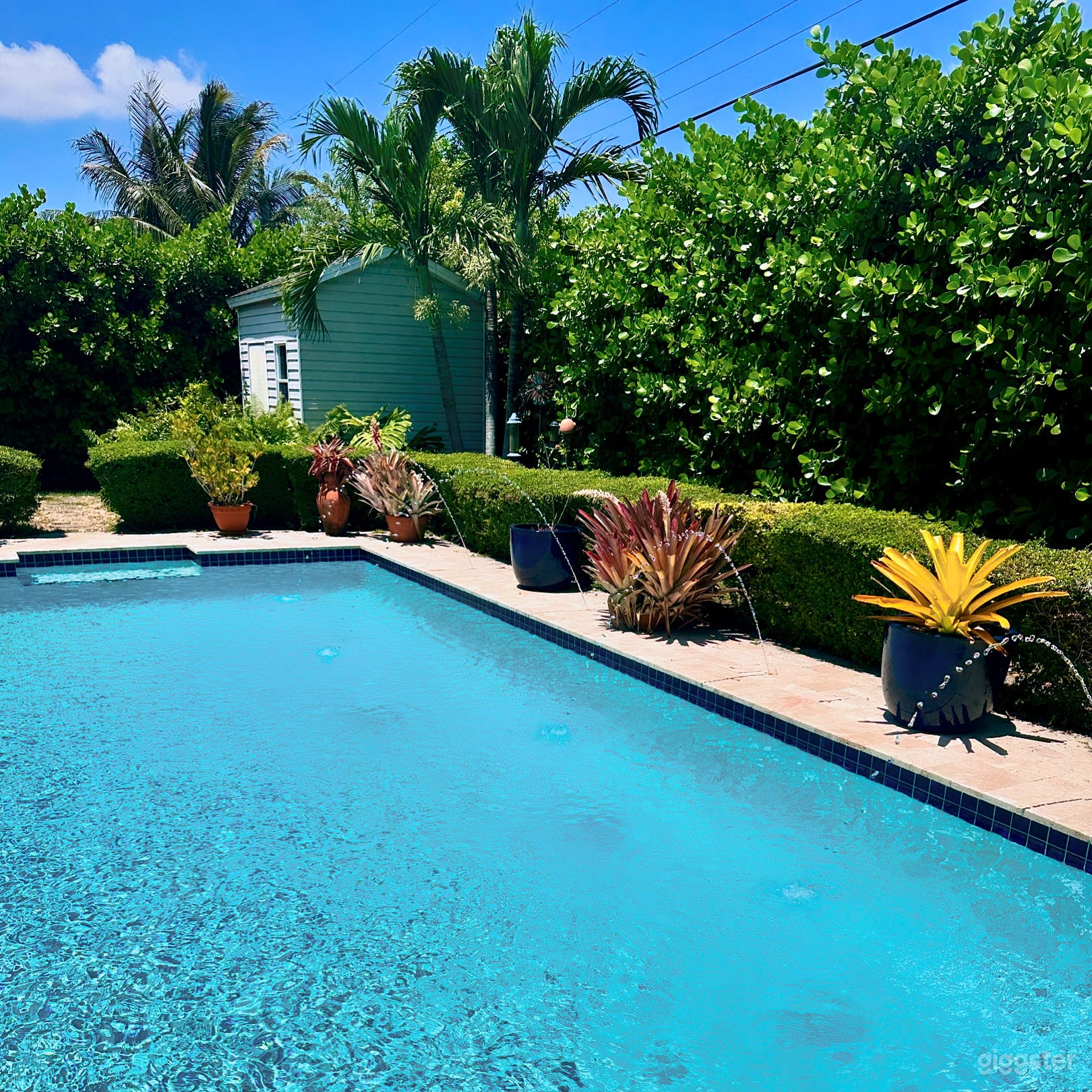 Bright Miami Pool -  photos/videos Photo 2