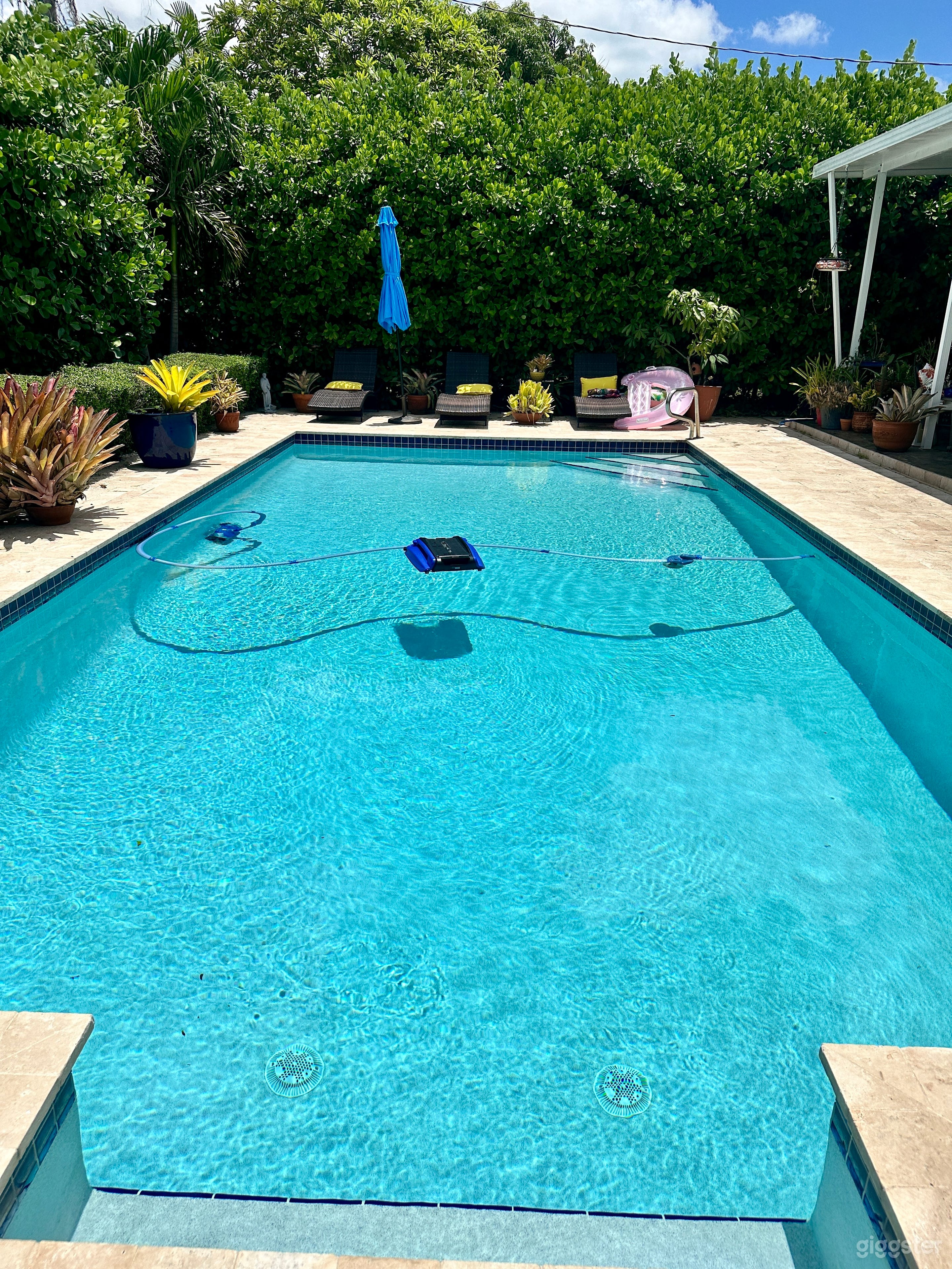 Bright Miami Pool -  photos/videos Photo 1