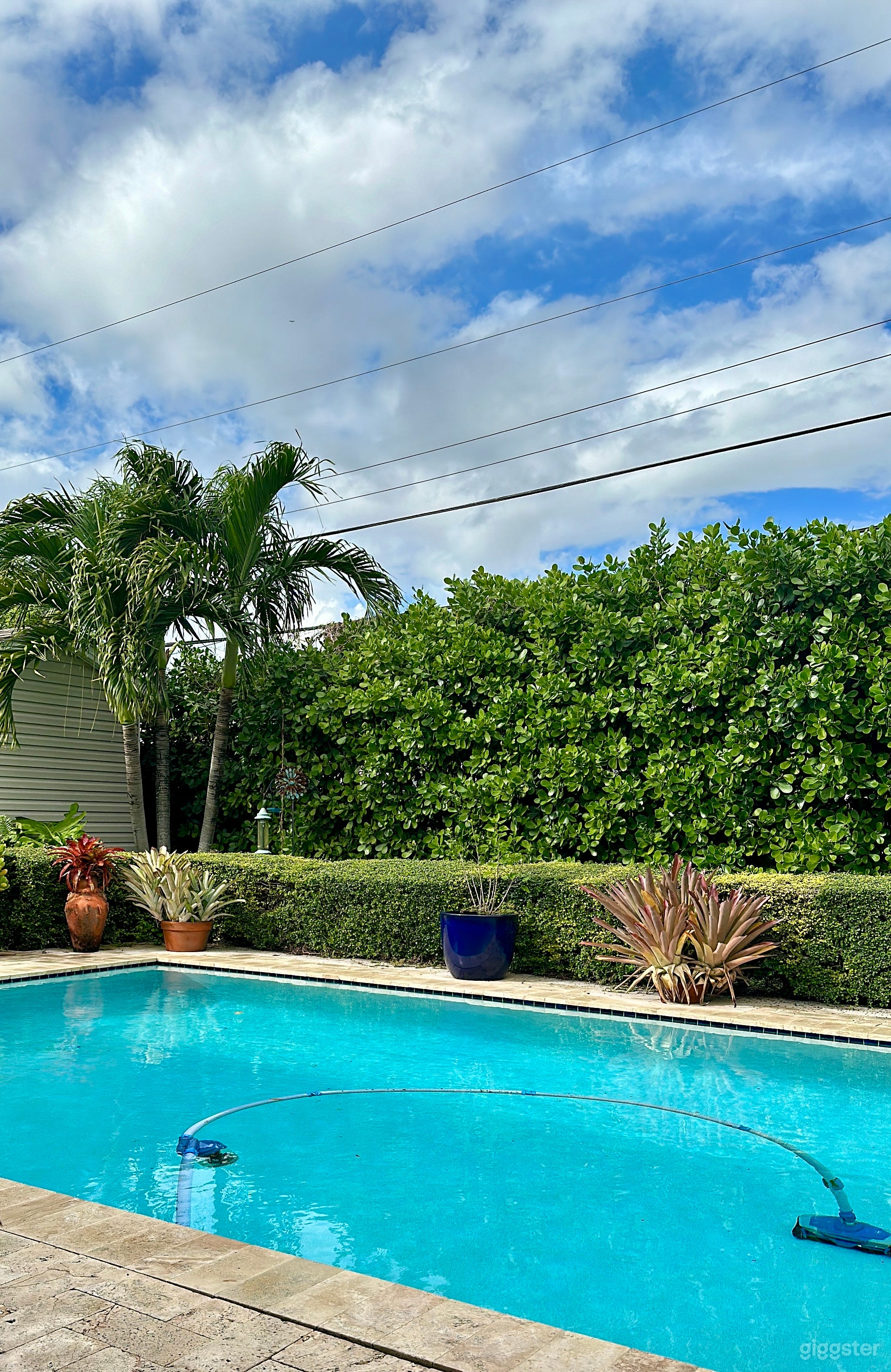 Bright Miami Pool -  photos/videos Photo 4