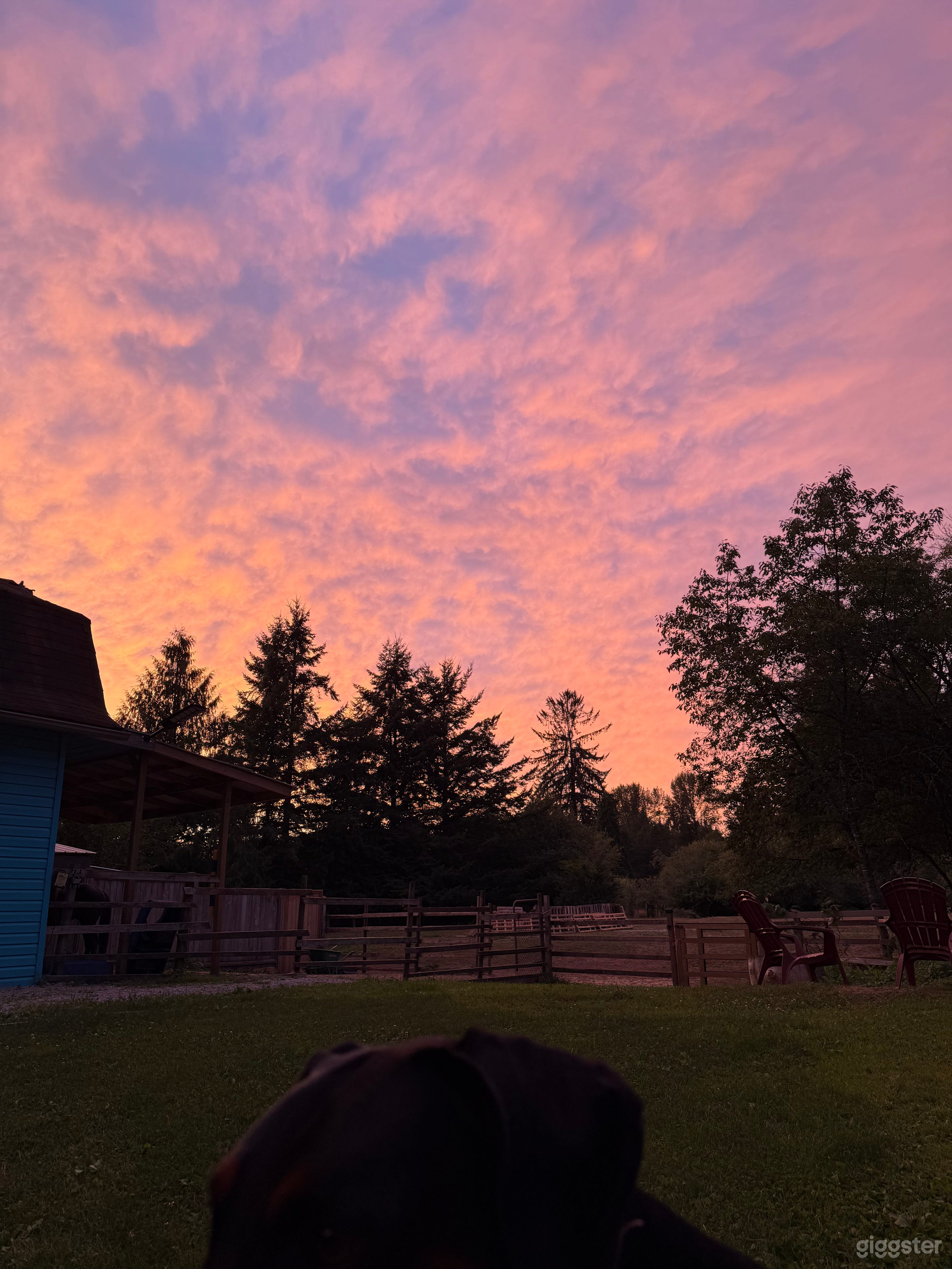 Country-Style Acreage with Barn, Fields & Horses Photo 4